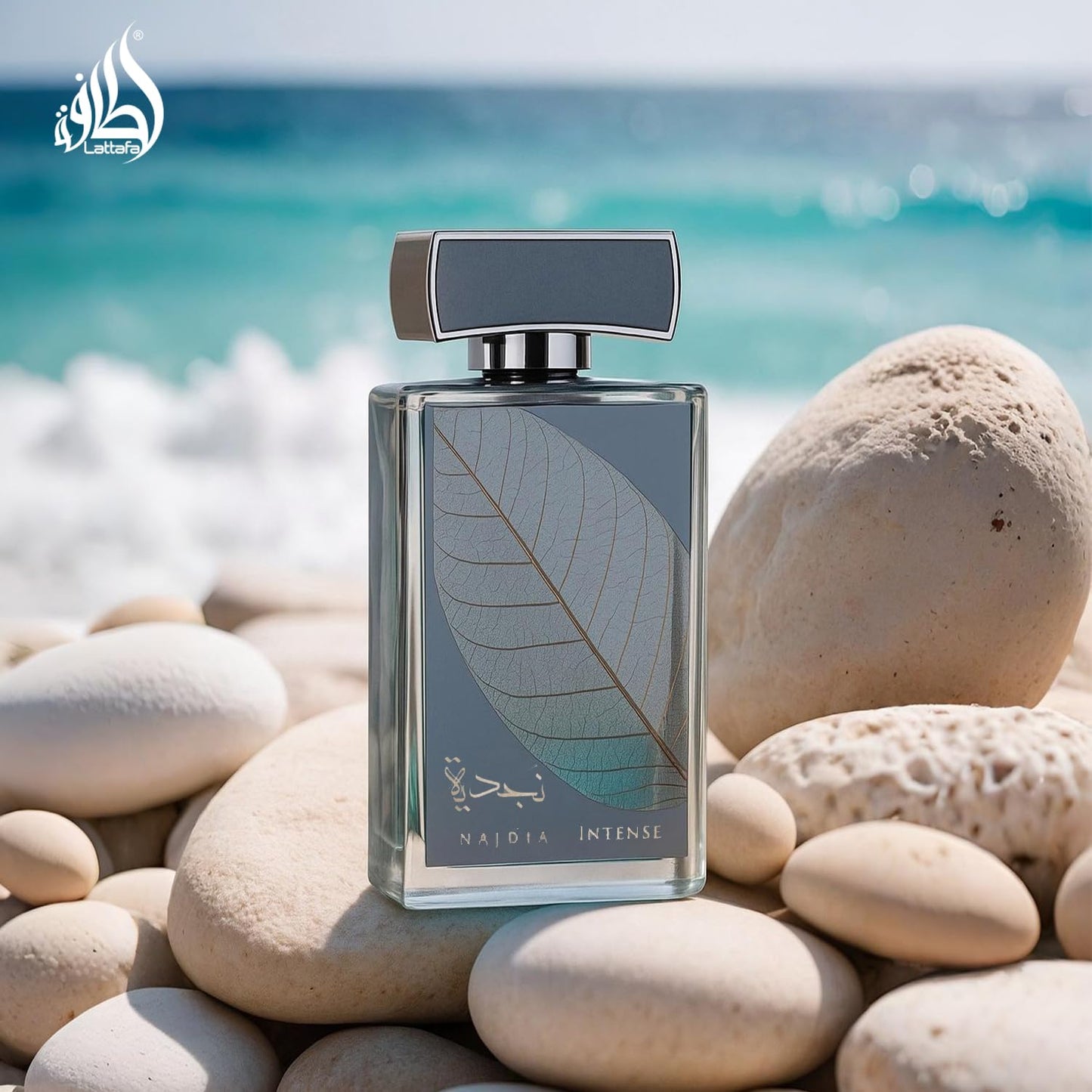 Lattafa Najdia Intense Eau de Parfum Spray for Men - Fresh Marine Woody Fragrance | 3.4 Ounce (100 ml)