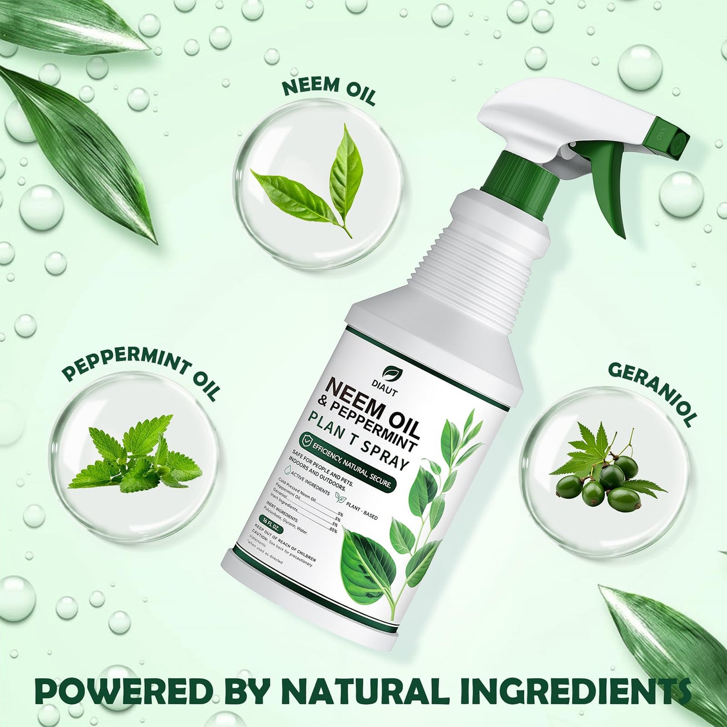 DIAUT Neem Oil Spray for Plants with Peppermint Oil, Easy Ready to Use Natural Plant Wash and Foliage Care for Indoor and Outdoor Plants, Gardens, Houseplants & Vegetables, 16 oz