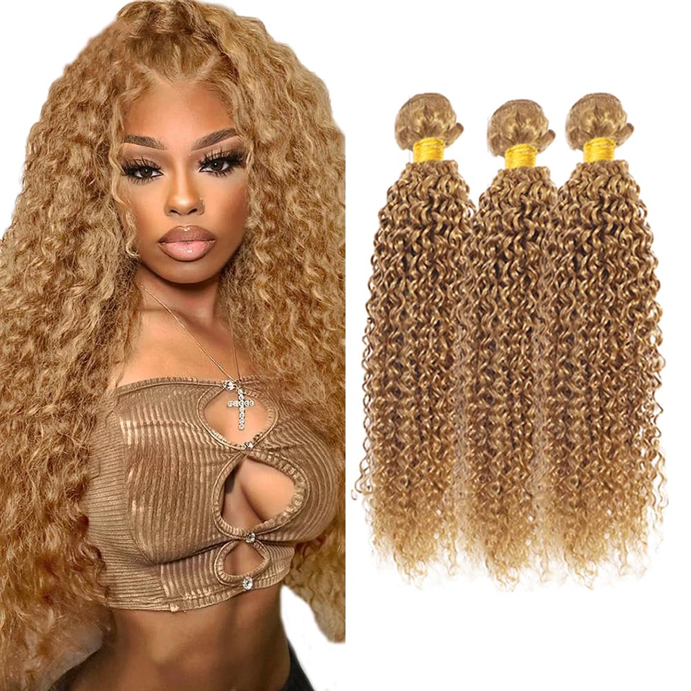 28 30 32 Inch Color 27 Human Hair Bundles Honey Blonde Kinky Curly Bundle Brazilian Virgin Hair 3 Bundles Blonde Bundle Hair Extensions