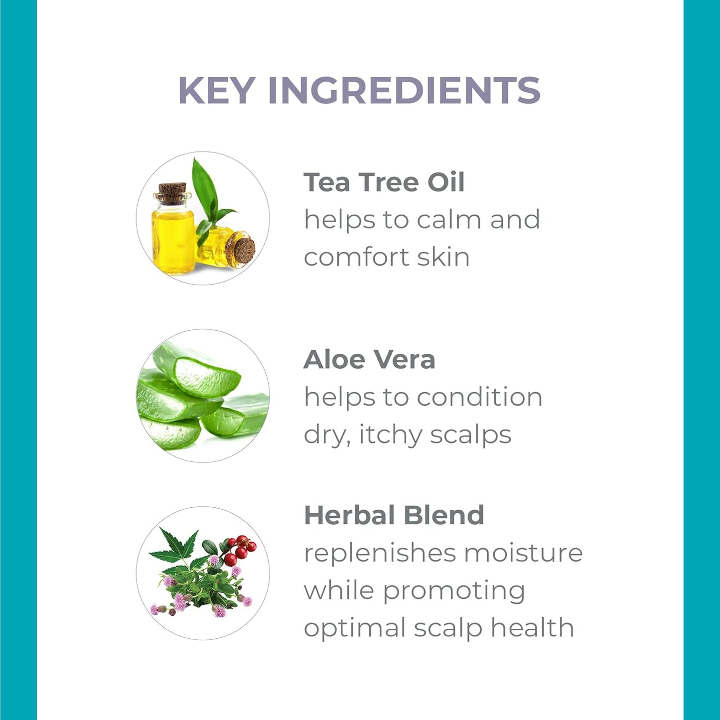 DERMA-E Scalp Relief Treatment - Tea Tree Oil & Aloe Vera Serum for Dry Scalp Relief | 1 Fl Oz