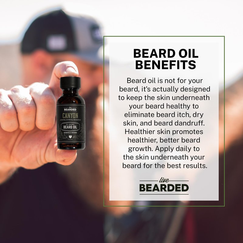 Live Bearded Beard Oil, 1 fl oz - Premium All-Natural Jojoba - Made in the USA - Hair and Skin Care for Men with Dry, Flaky Patches | Canyon Scent - Juniper, Cypress, Fir Needle