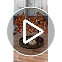 18 Inch Prelit Fall Maple Tree with Pumpkin Lights | Warm White LED