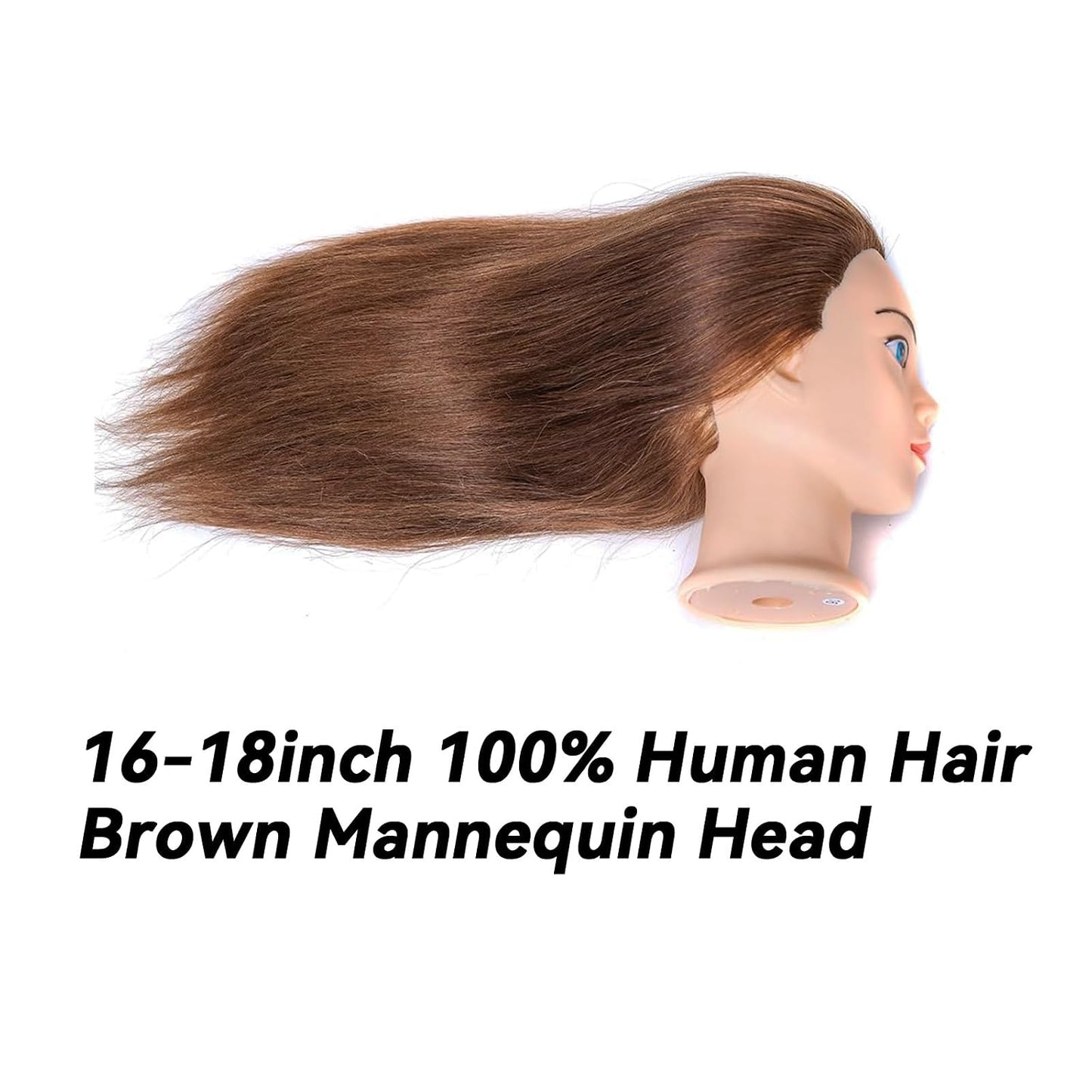 Mannequin Head - 100% Real Human Hair for Cosmetology | Braiding, Styling, Cutting - Brown