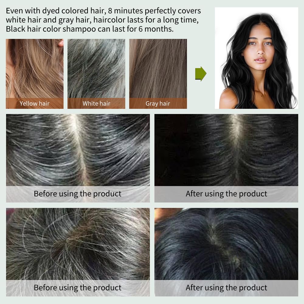 Hair Dye Shampoo - 5 in 1 Herbal Formula for Gray Coverage | Semi-Permanent Argan Color, 500ml (Black)
