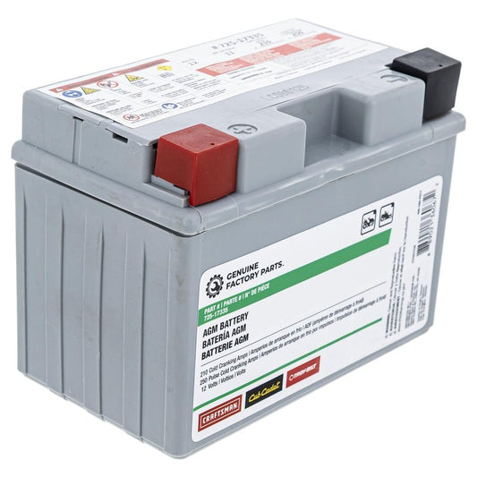 CUB CADET 490-280-F017 Battery 210cca 11AHR Ultima ZT1 ZT2 ZTS1 ZTS2 ZTX4 ZTX5 ZTX6 725P17335