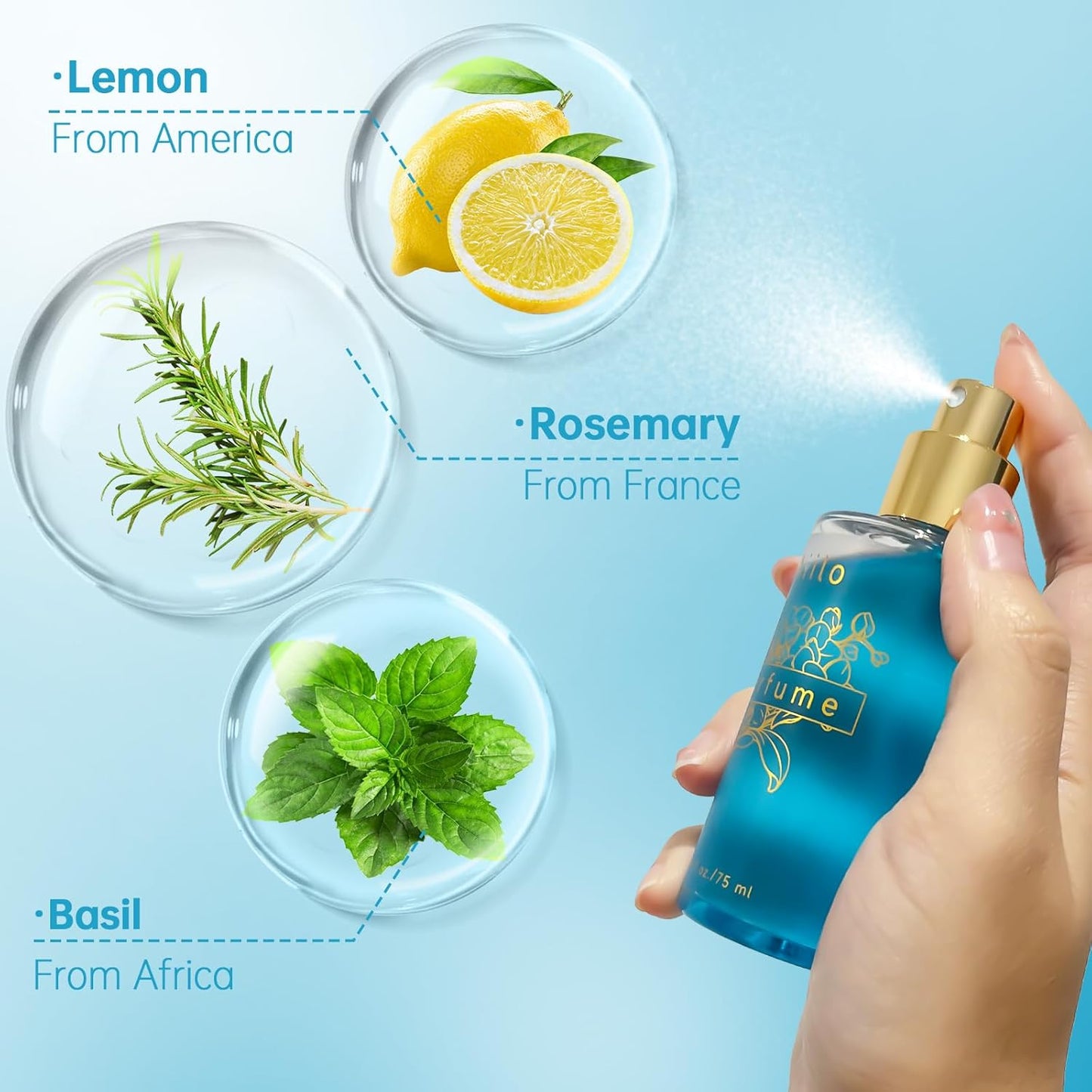 Natural Hair Perfume for Women | Long-Lasting Fragrance - 75ml/2.54 fl oz (Amber Coast)