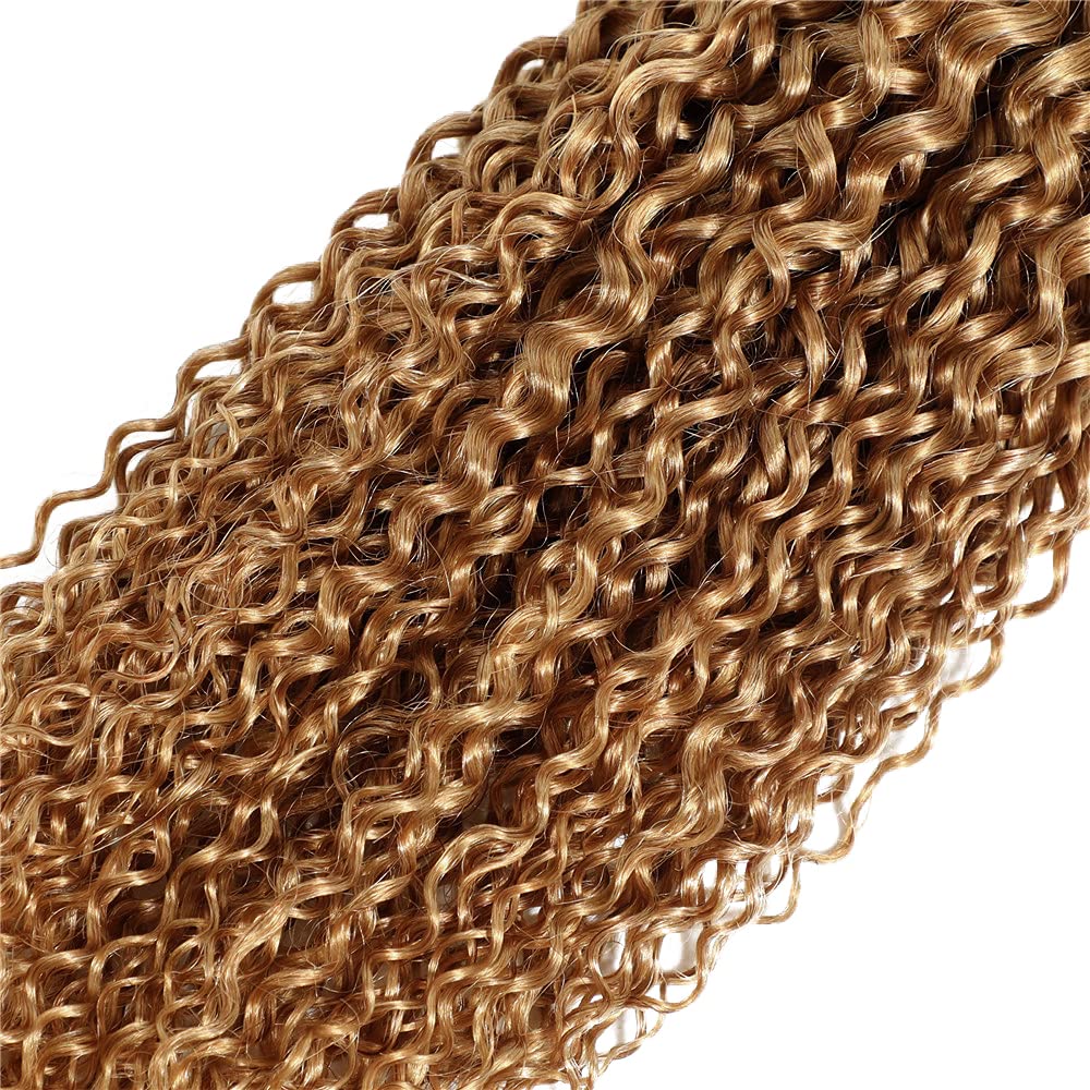 Ombre Human Hair Bundles 1b27 Honey Blonde Kinky Curly Bundles 28 Inch Unprocessed Brazilian Virgin Hair 1 Bundle Honey Blonde Bundle 100g