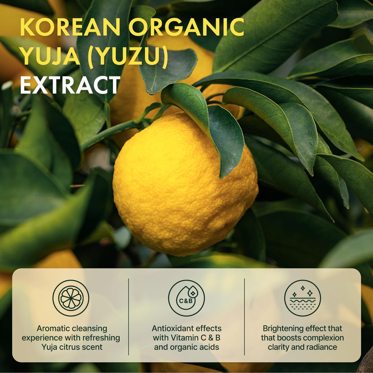 Ceramide Yuja Cleansing Balm - Deep Cleansing Korean Face Cleanser | Vegan, Zero Irritation, 135g / 4.76oz