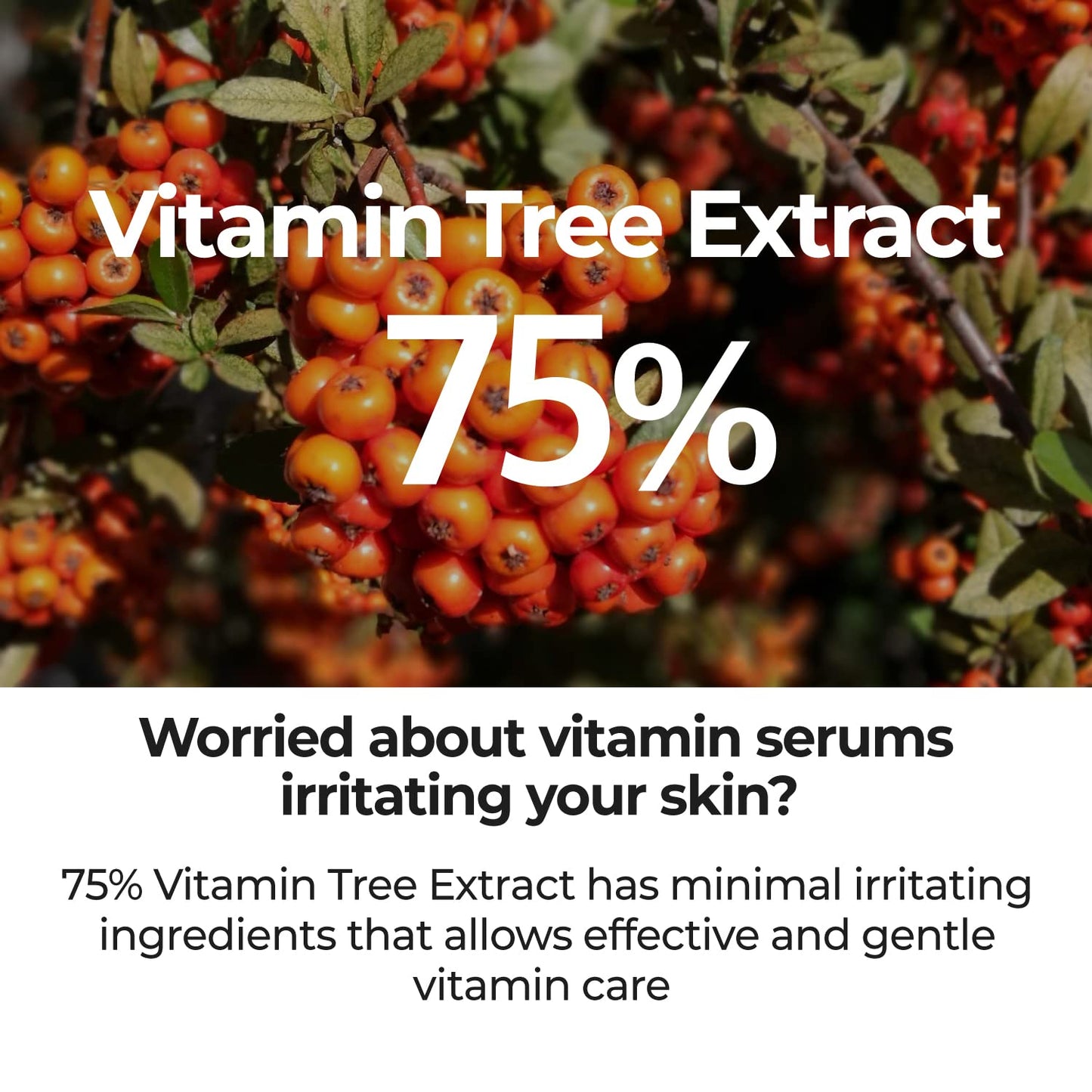 Numbuzin No.5 Serum - Blemish Treatment with Vitamin C & Niacinamide | Lightweight Gel for Acne Scars | 1.69 fl. oz.