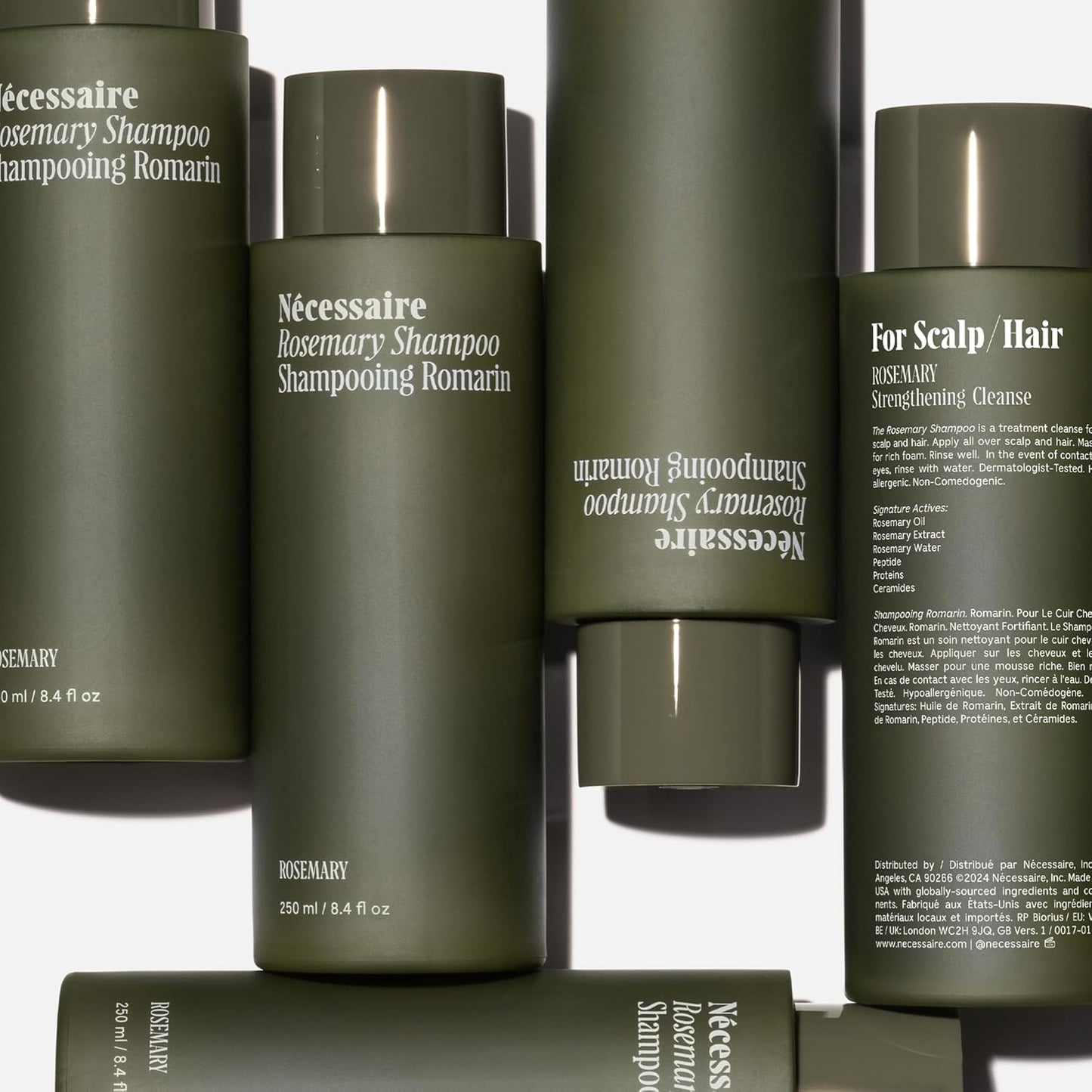 Rosemary Shampoo - Multi-Protein Strengthening Cleanse for Thinning Hair | Sulfate-Free, Color-Safe, 250 ml / 8.4 oz