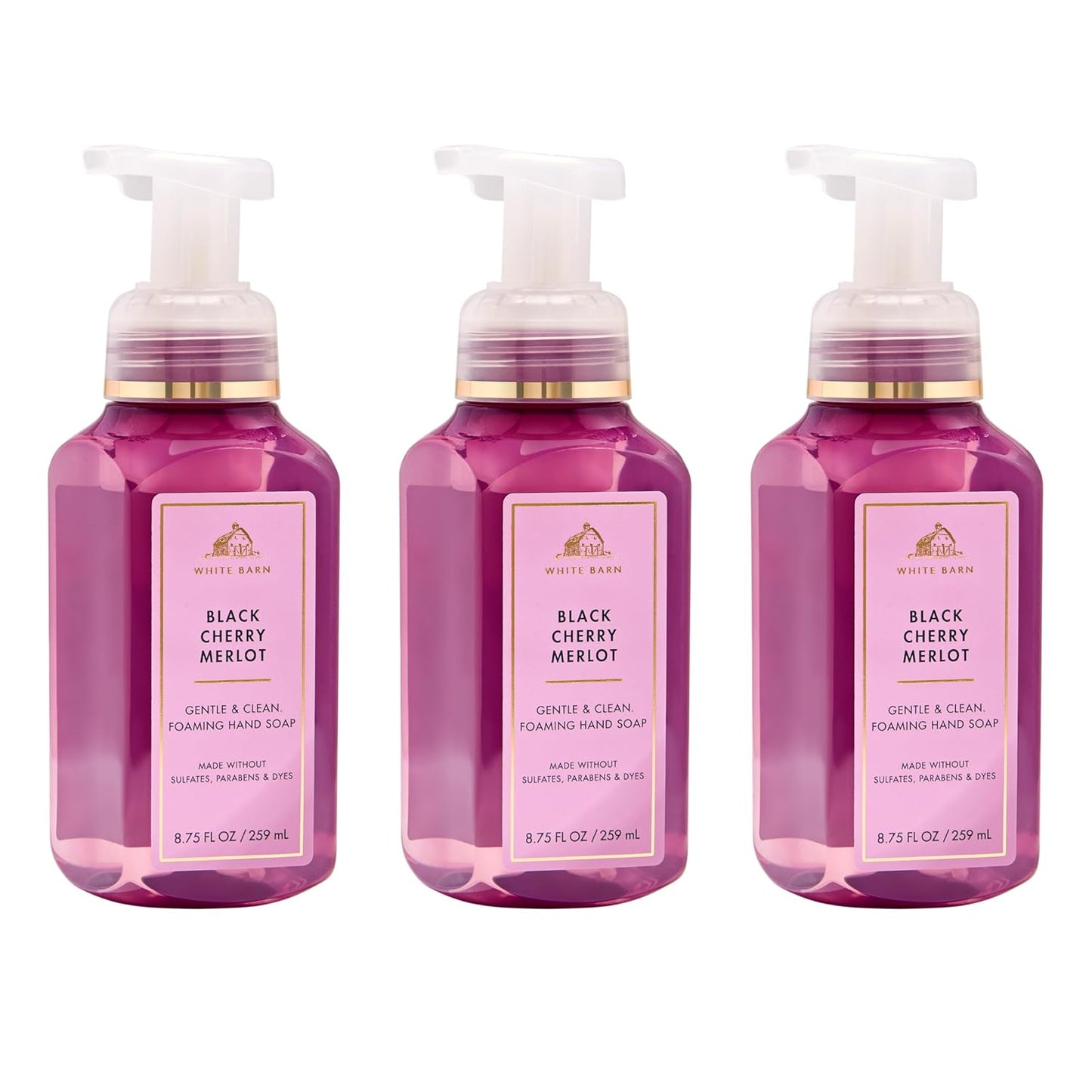 Crisp Morning Air Foaming Hand Soap - Germ-Cleansing Formula | Gentle Cleansing & Conditioning - 3-Pack