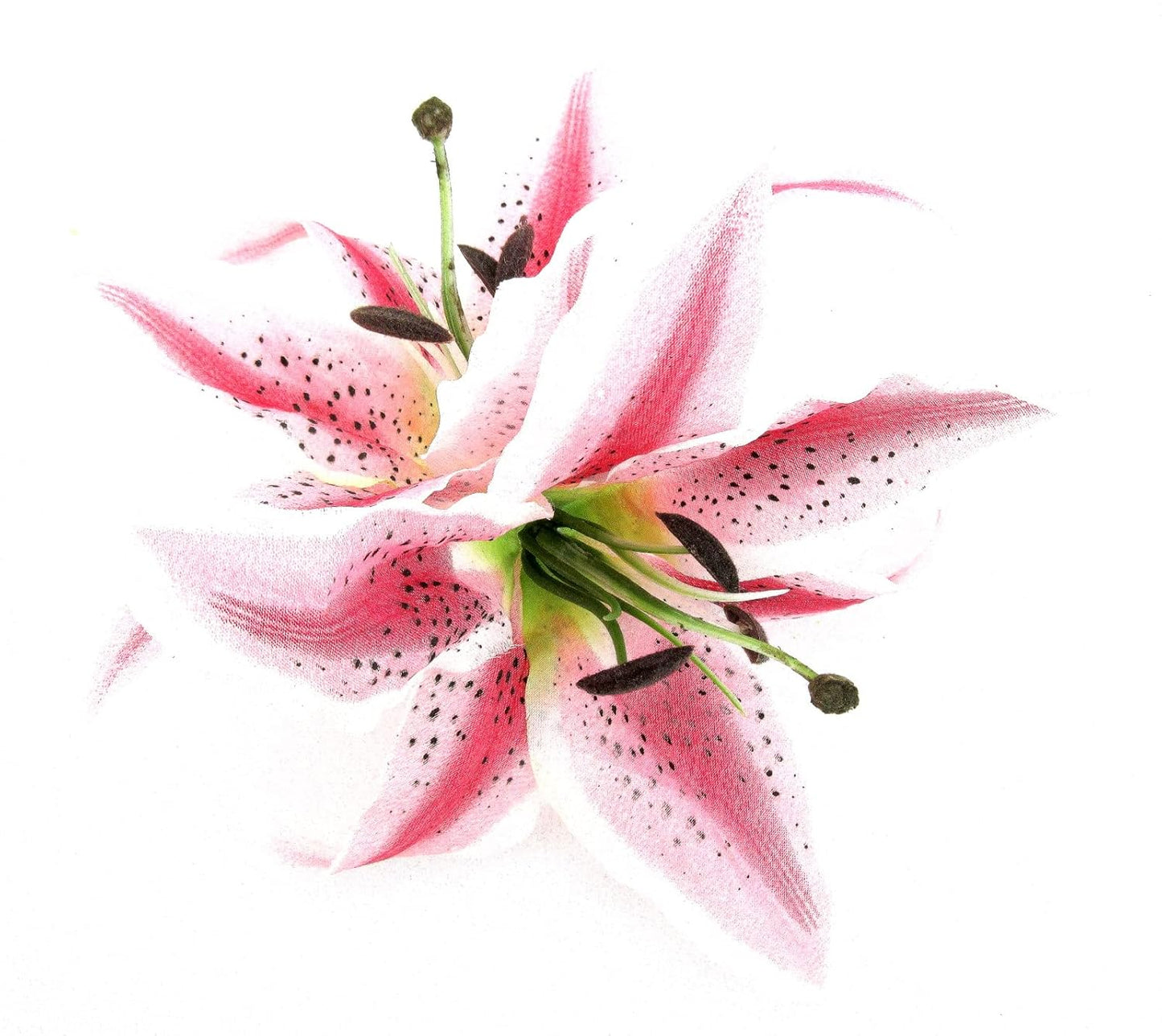 Pink Cream Tiger Lily Silk Flower Hair Clip - XL 8 Inch with Teeth