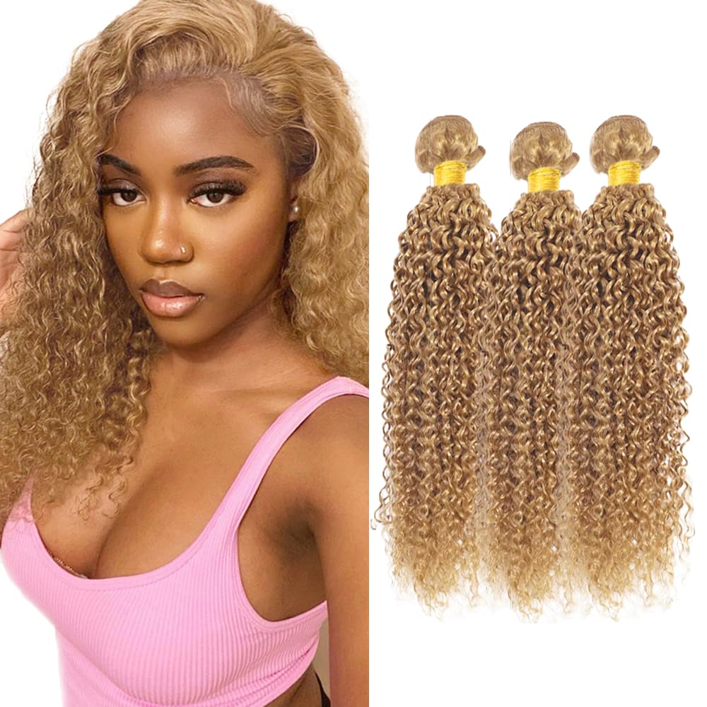 Blonde Bundles Human Hair 27 Kinky Curly Bundles Honey Blonde Bundle 20 20 20 inch #27 Wet and Wavy Human Hair Bundle 300g