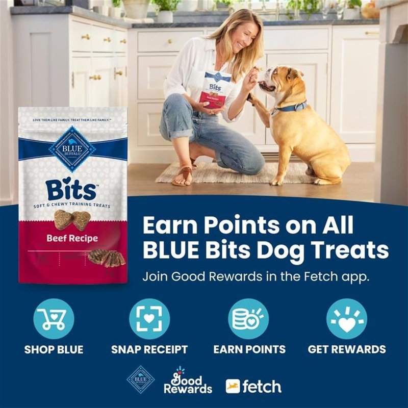Blue Buffalo Soft Dog Training Treats - Natural Chicken Recipe with DHA | 19 oz Bag