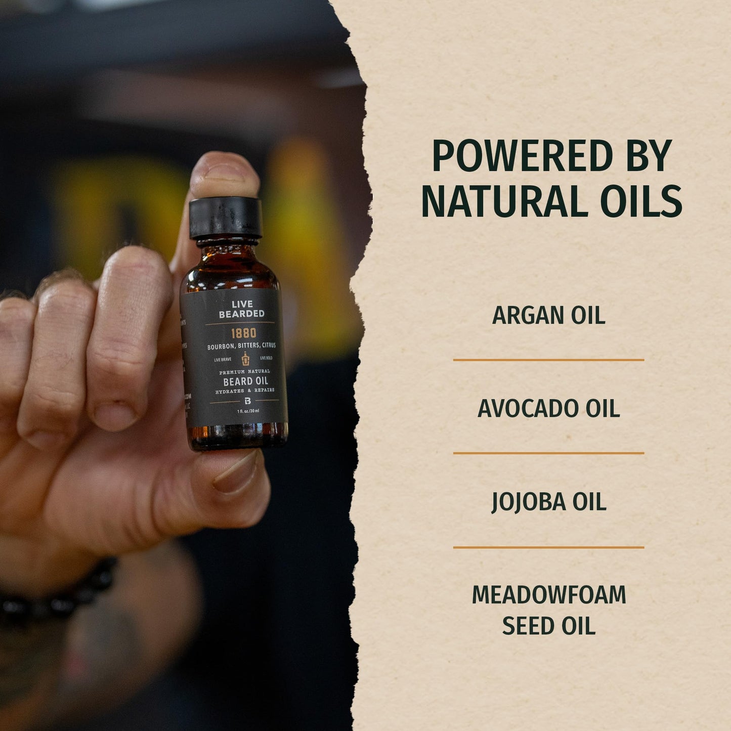 Live Bearded Beard Oil, 1 fl oz - Premium All-Natural Jojoba - Made in the USA - Hair and Skin Care for Men with Dry, Flaky Patches | Forge Scent - Hinoki Cypress, Clove, Amber