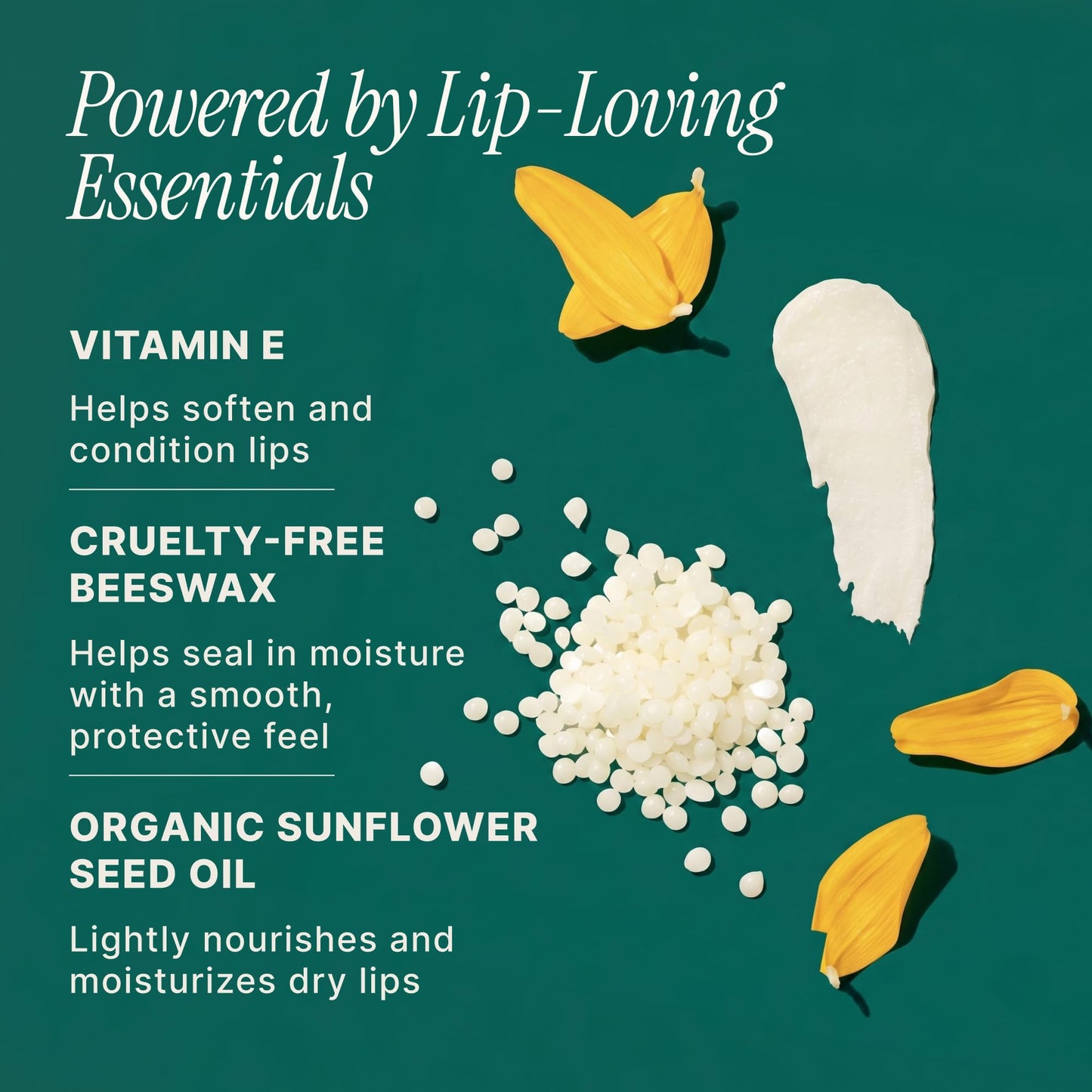 Soulsation Organic Lip Balm Set, 4 Flavors - Moisturizing for Cracked & Dry Lips