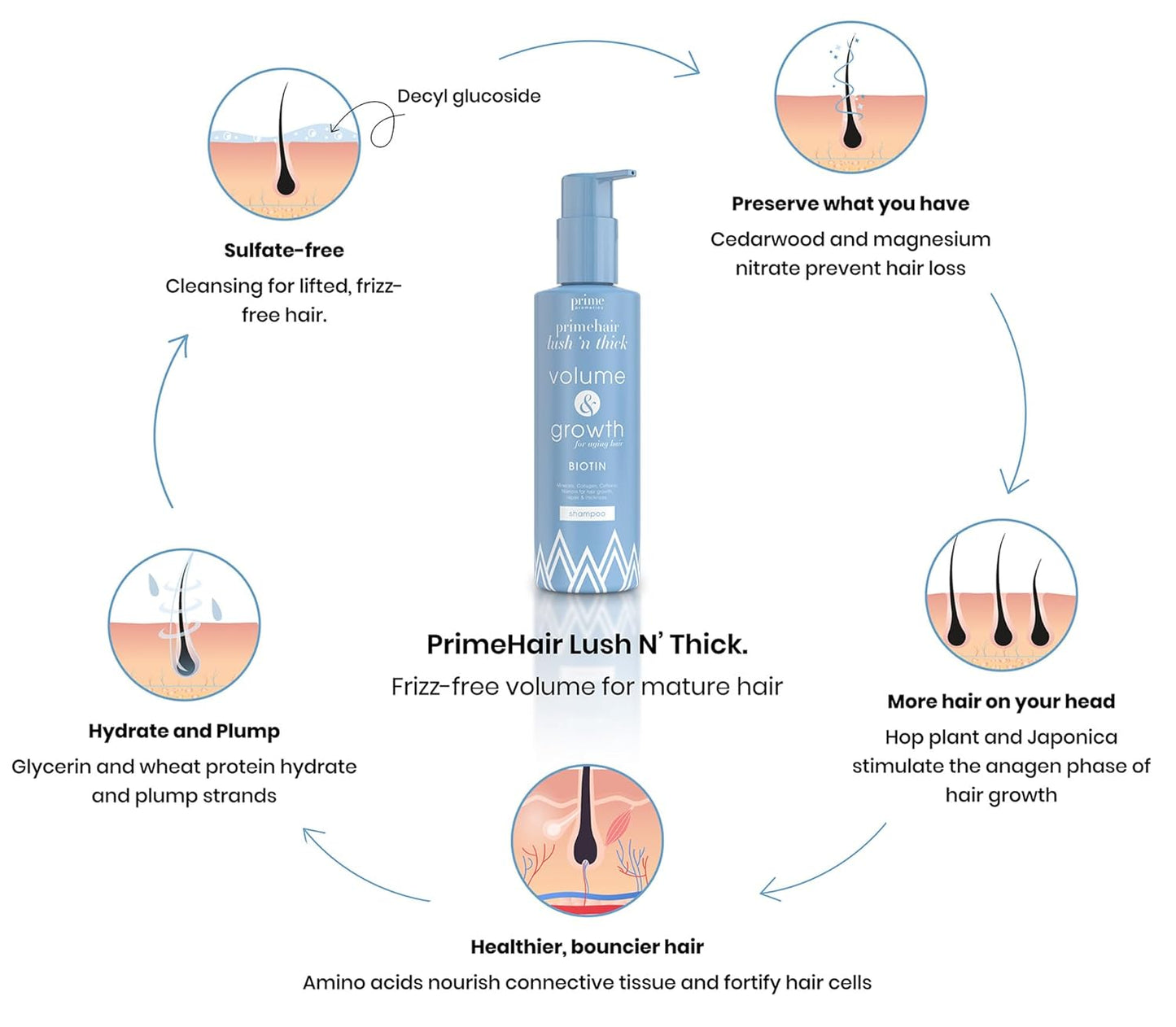 PrimeHair Lush N' Thick Shampoo for Mature Women - Biotin-Enriched, Sulfate-Free, Volumizing Formula