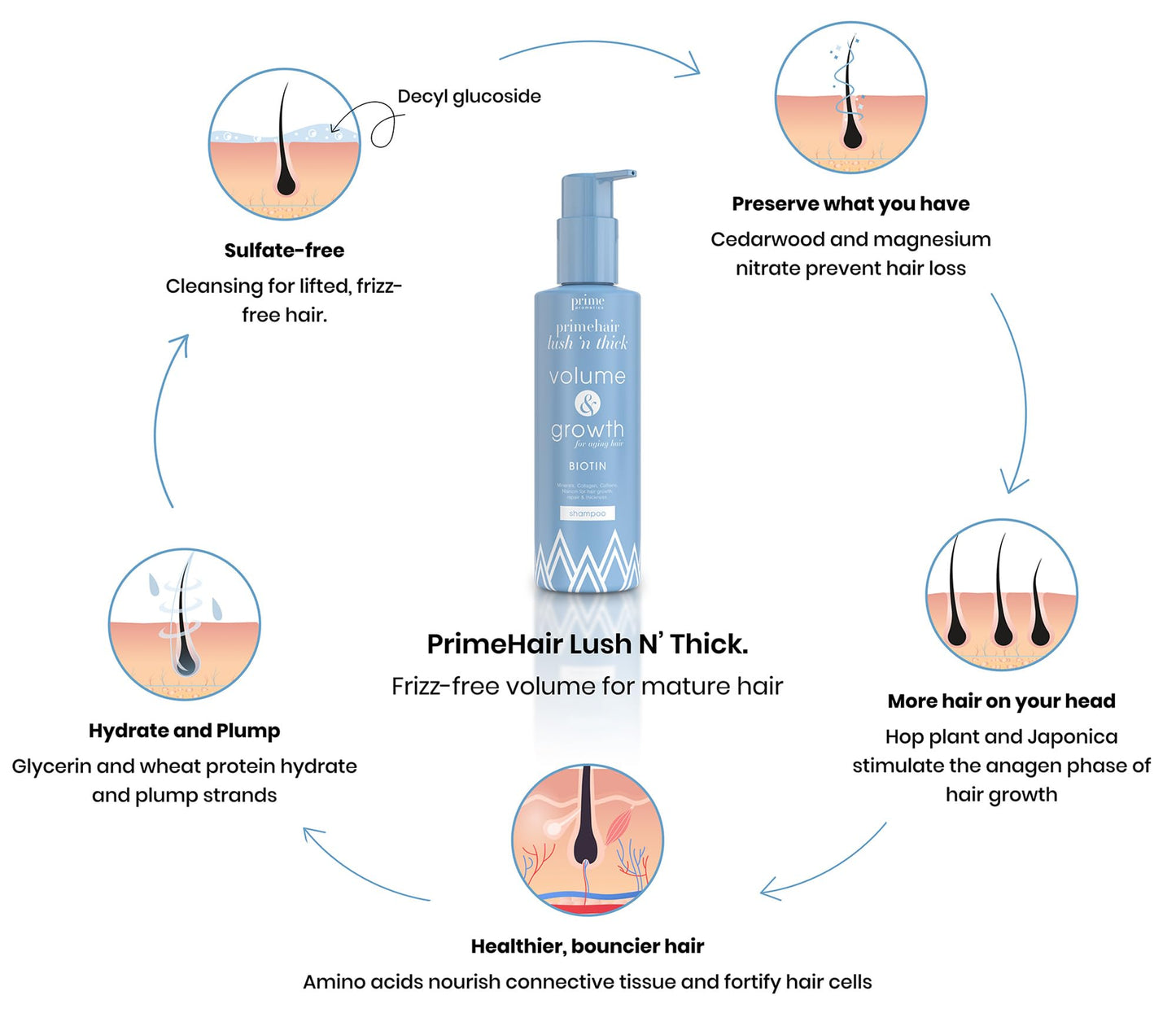 PRIME PROMETICS PrimeHair Lush N' Thick Shampoo for Mature Women – Biotin Enriched, Sulfate-Free and Paraben-Free Shampoo with Hair Growth Promoting Ingredients – Volumizing, Hydrating