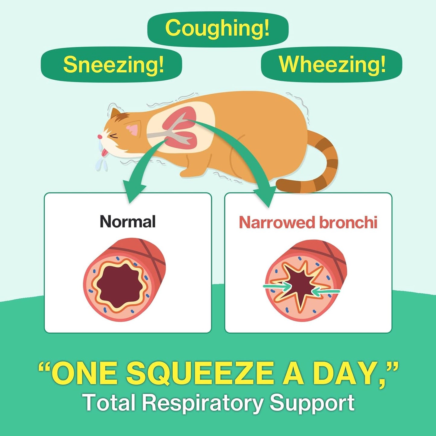 Cat Bronchial Supplements - Lickable Chicken Formula for Sneezing, Asthma & Cold Relief | 1 Pack