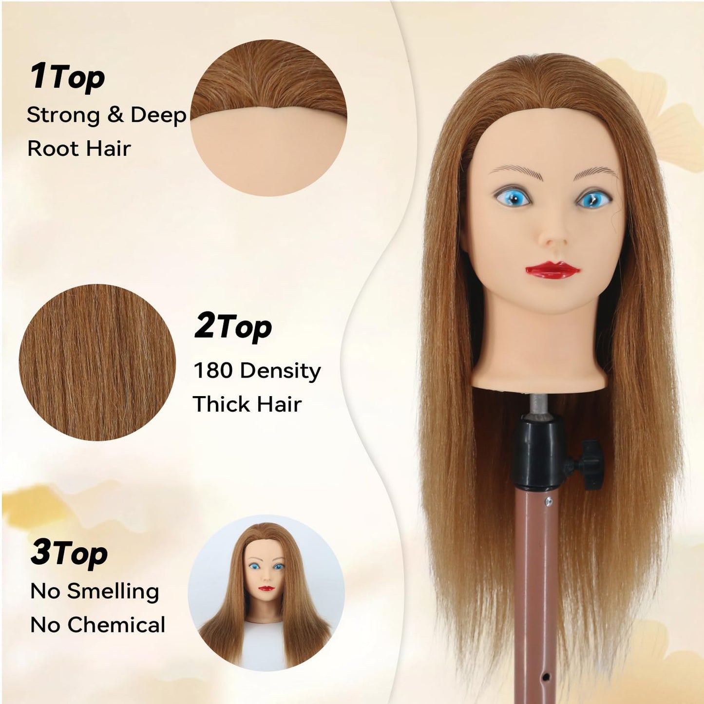 Real Hair Mannequin Head for Cosmetology - 100% Human Hair Styling & Braiding | #27 Light Brown