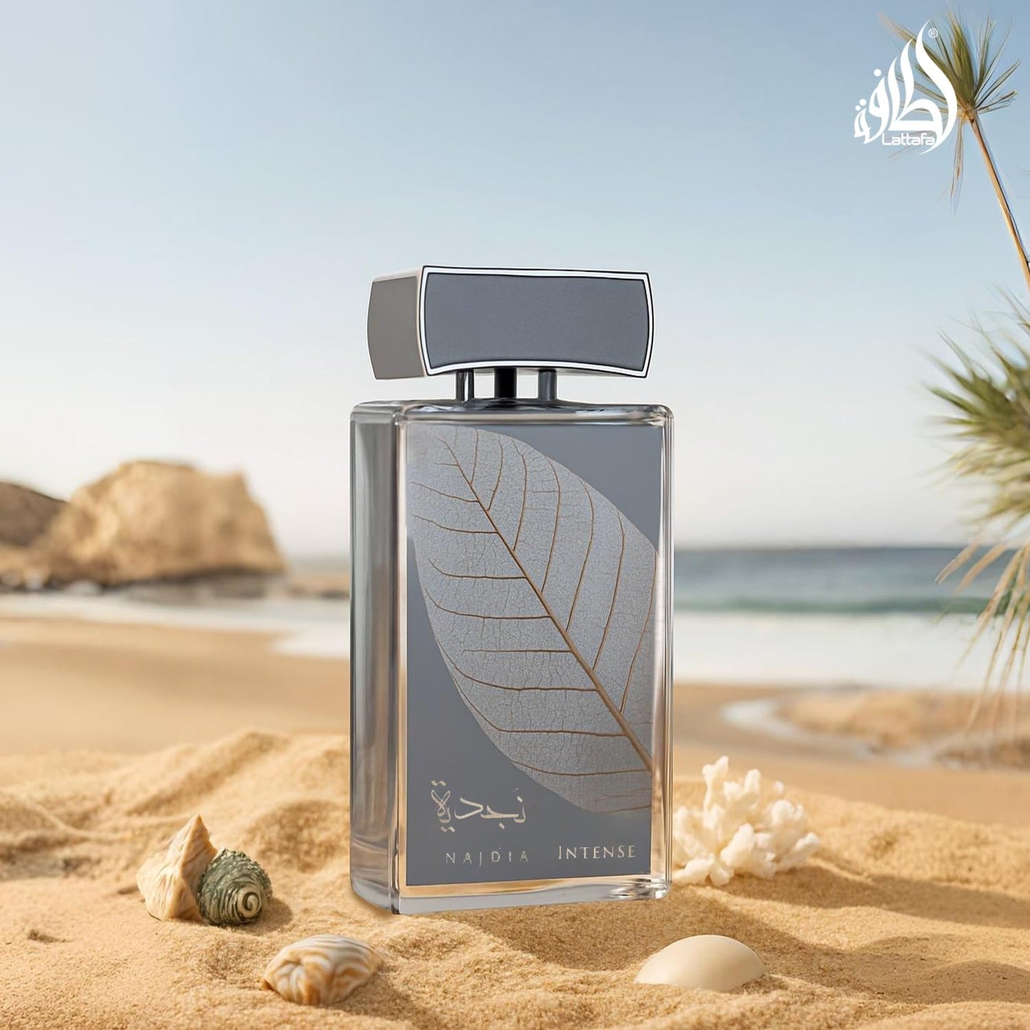Lattafa Najdia Intense Eau de Parfum Spray for Men - Fresh Marine Woody Fragrance | 3.4 Ounce (100 ml)