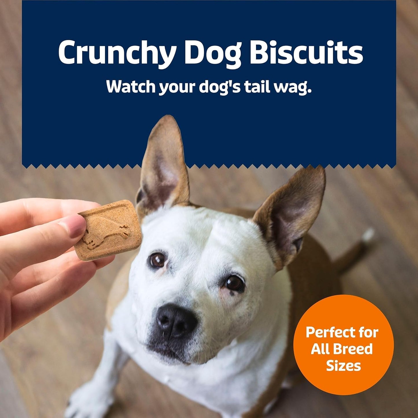 Blue Buffalo Dog Treats - Pumpkin & Cinnamon Crunchy Health Bars | Oven-Baked, Natural Ingredients, 16 oz.
