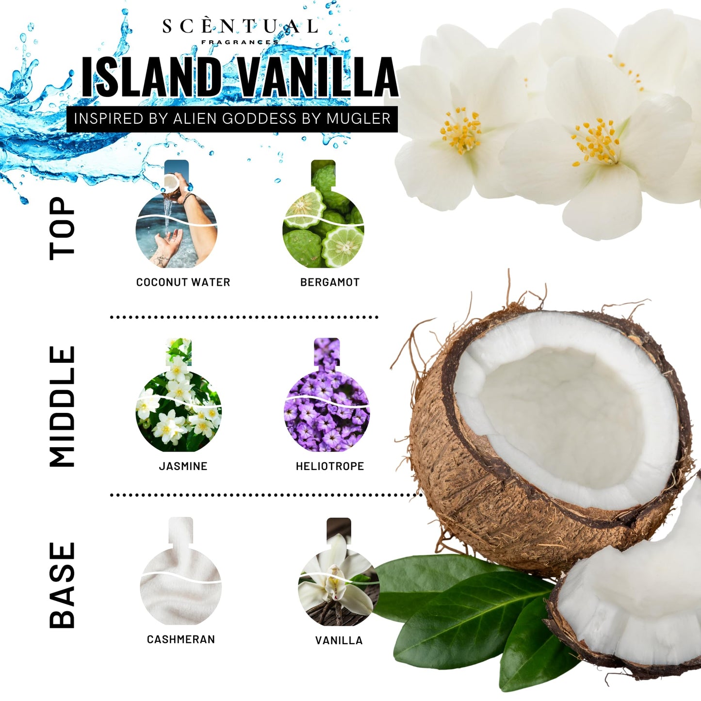 Scentual Fragrances, Ultra-Concentrated Hair & Body Perfume Mist, Long Lasting Women's Fragrance, Gourmand Perfumes for Women, Vegan and Cruelty Free (Island Vanilla)