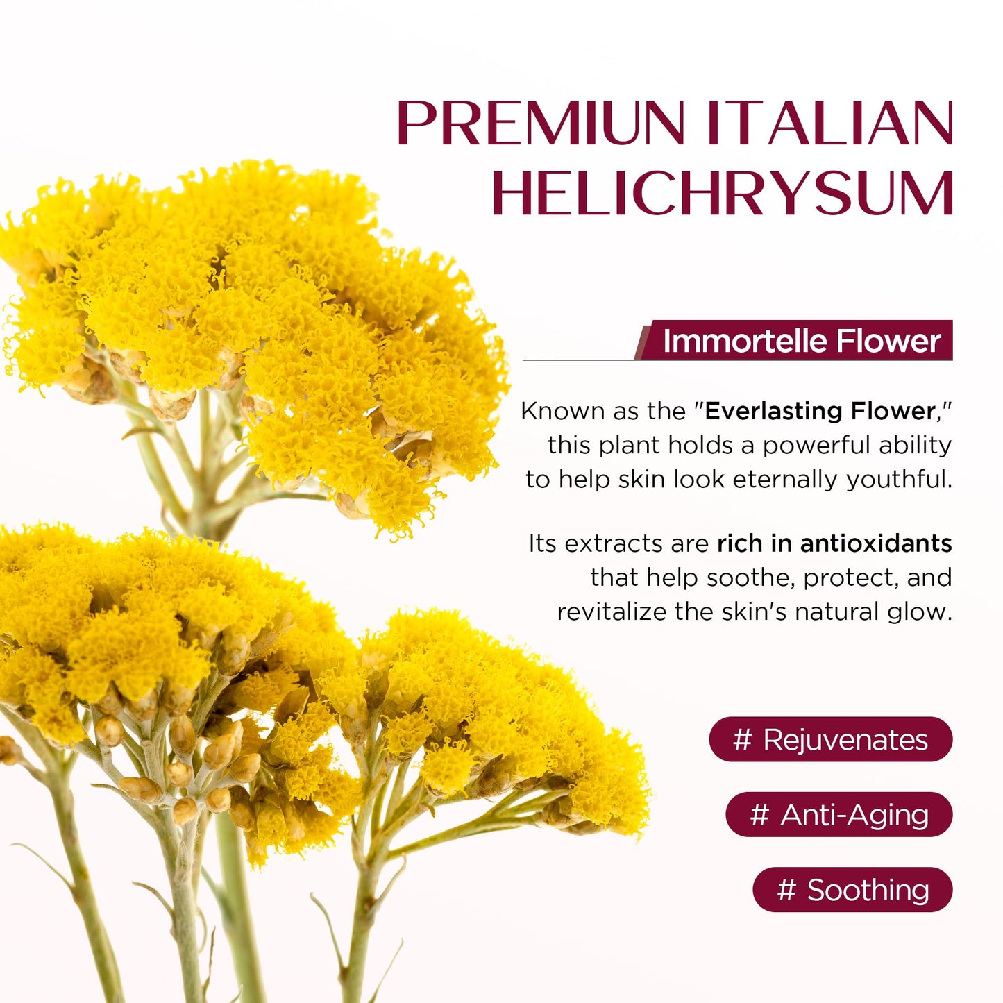Vigority Helichrysum Balm Soothes & Repairs: Restorative Arnica Cream with Calendula for Fragile, Thin Skin & Bruise-Prone – Moisturizes, Revitalizes & Strengthens Skin Barrier for Adult Seniors 3.4oz