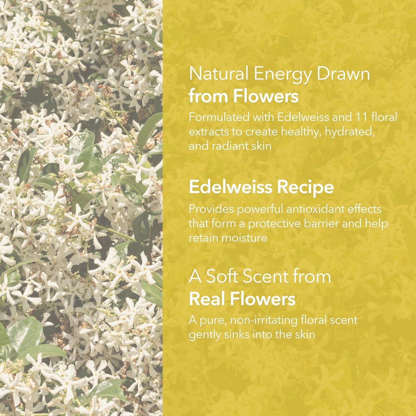 Edelweiss Cleansing Balm - Vegan Makeup Remover & Face Cleanser | Natural Flower Extracts, 3.38 fl oz