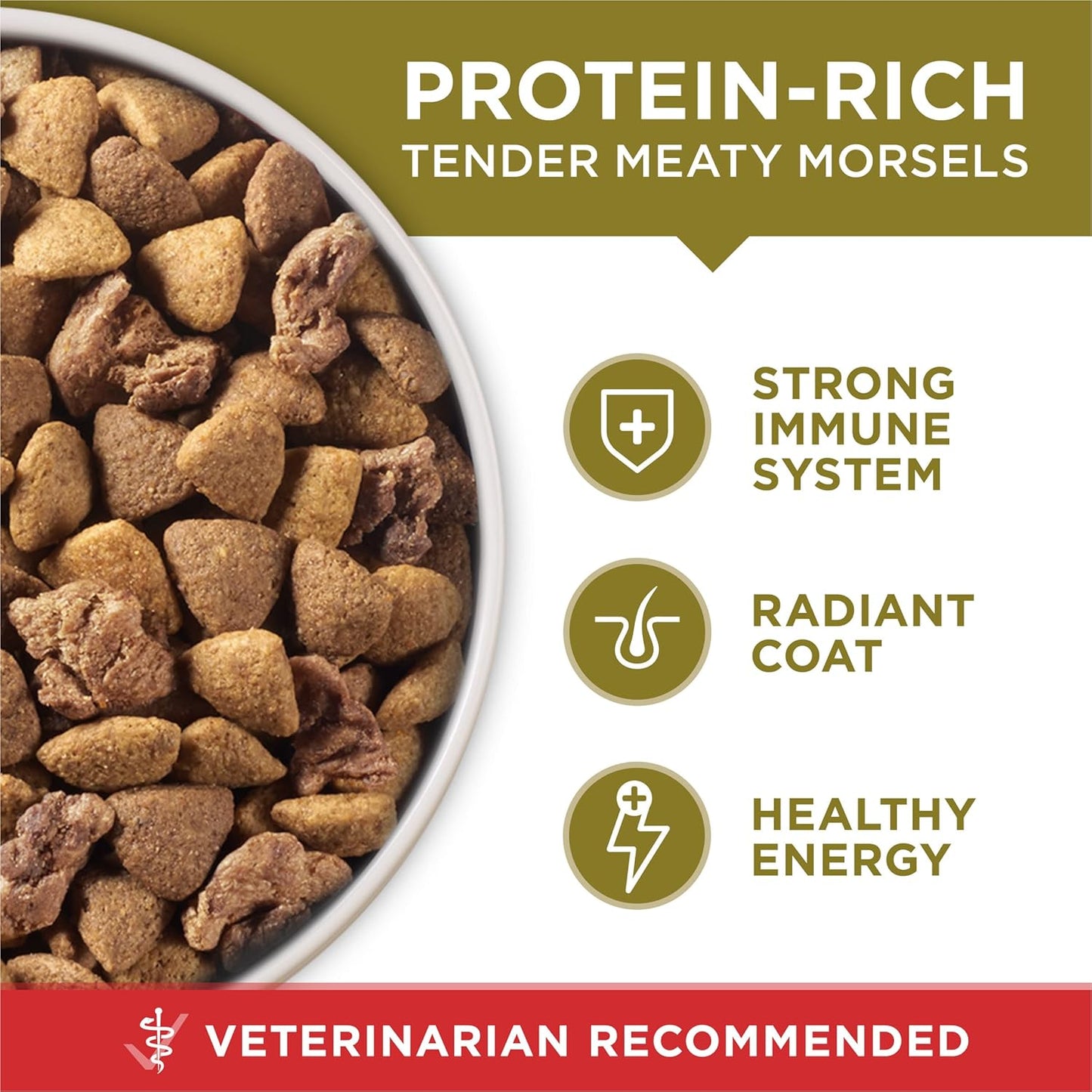 Purina ONE Dry Dog Food - Lamb & Rice Formula | 31.1 lb. Bag