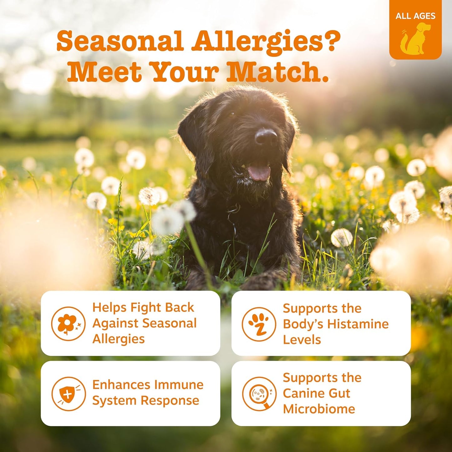 Zesty Paws Allergy Immune Bites - Dog Allergy Chews for Itchy Skin & Ears | Lamb Flavor, 90 Count