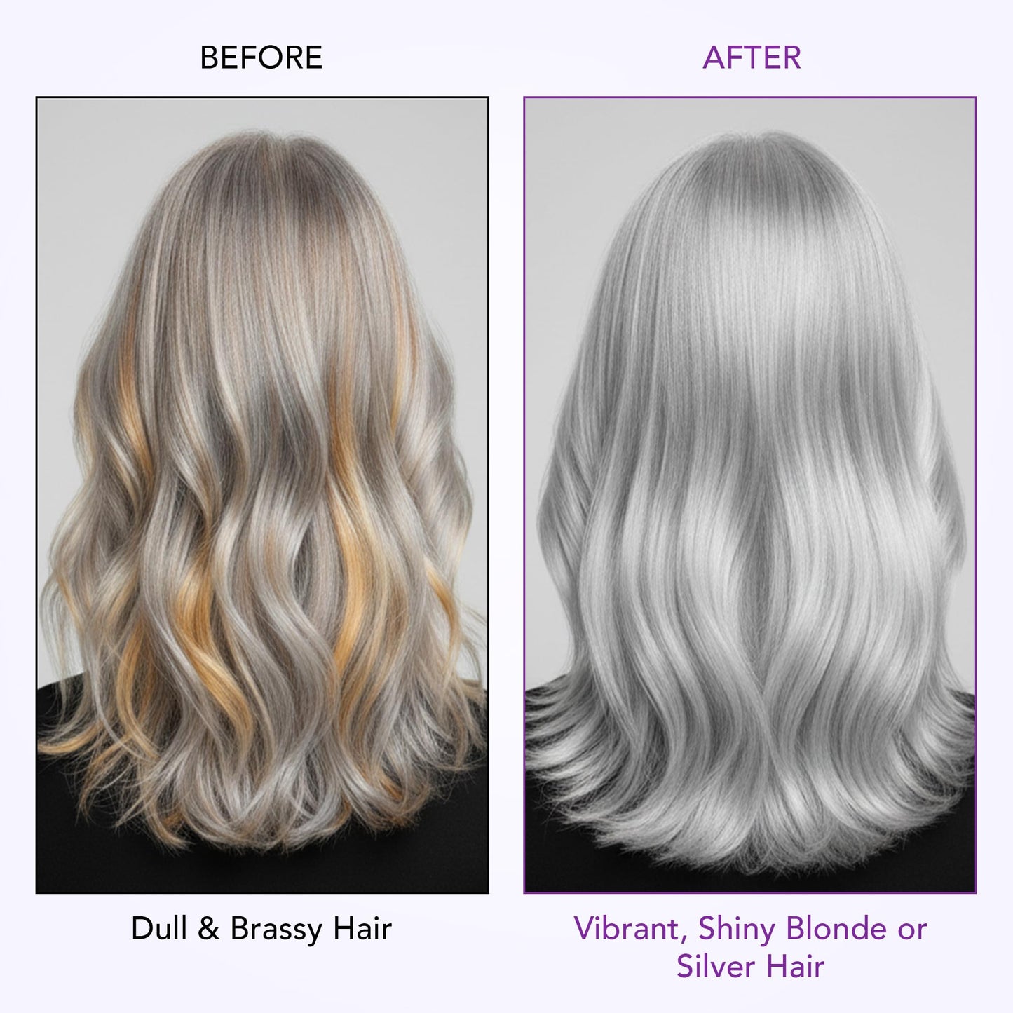 Botanic Hearth Purple Shampoo And Conditioner Set | For All Shades Of Blonde, Silver And Gray Hair | Enhances Highlights | Sulfate Free, Paraben Free, 16 Fl Oz Each