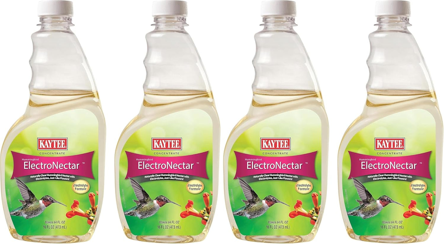 Hummingbird ElectroNectar Wild Bird Food - Ready to Use, 64 Oz | Ideal For Attracting Birds