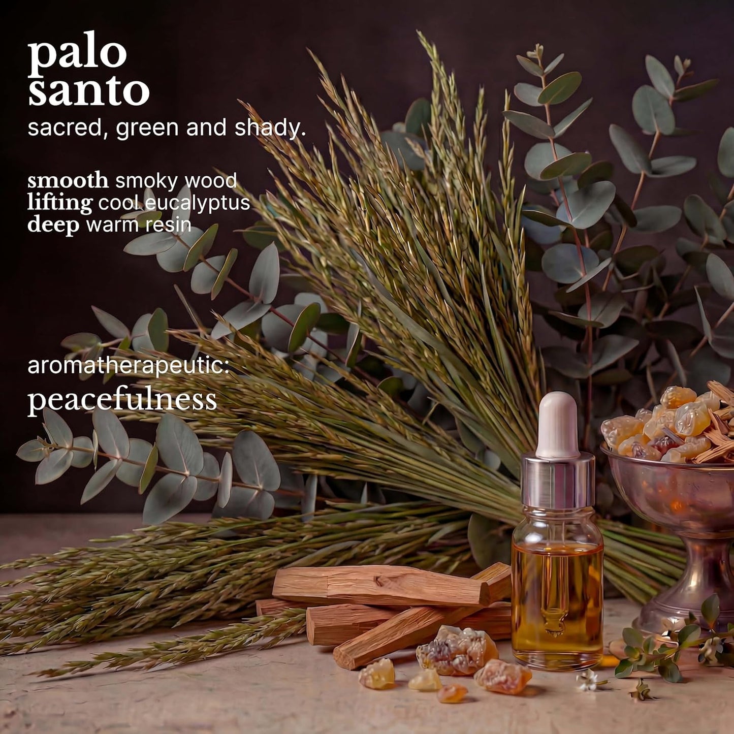 Palo Santo Hair Conditioner - Vitamin-Rich Moisture & Frizz Control Treatment | 10 oz, Vegan & Sulfate-Free