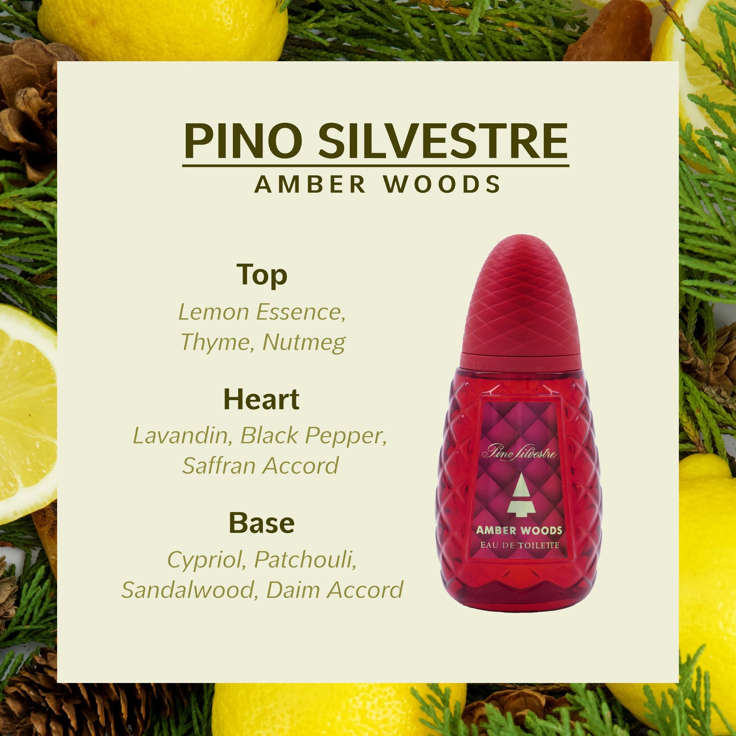 Amber Woods by Pino Silvestre - Perfume for Men - Aromatic, Woody, Spicy Scent - Blended with Lemon, Lavender, Patchouli, and Sandalwood - for Bold, Elegant Gentlemen - 4.2 oz EDT Spray