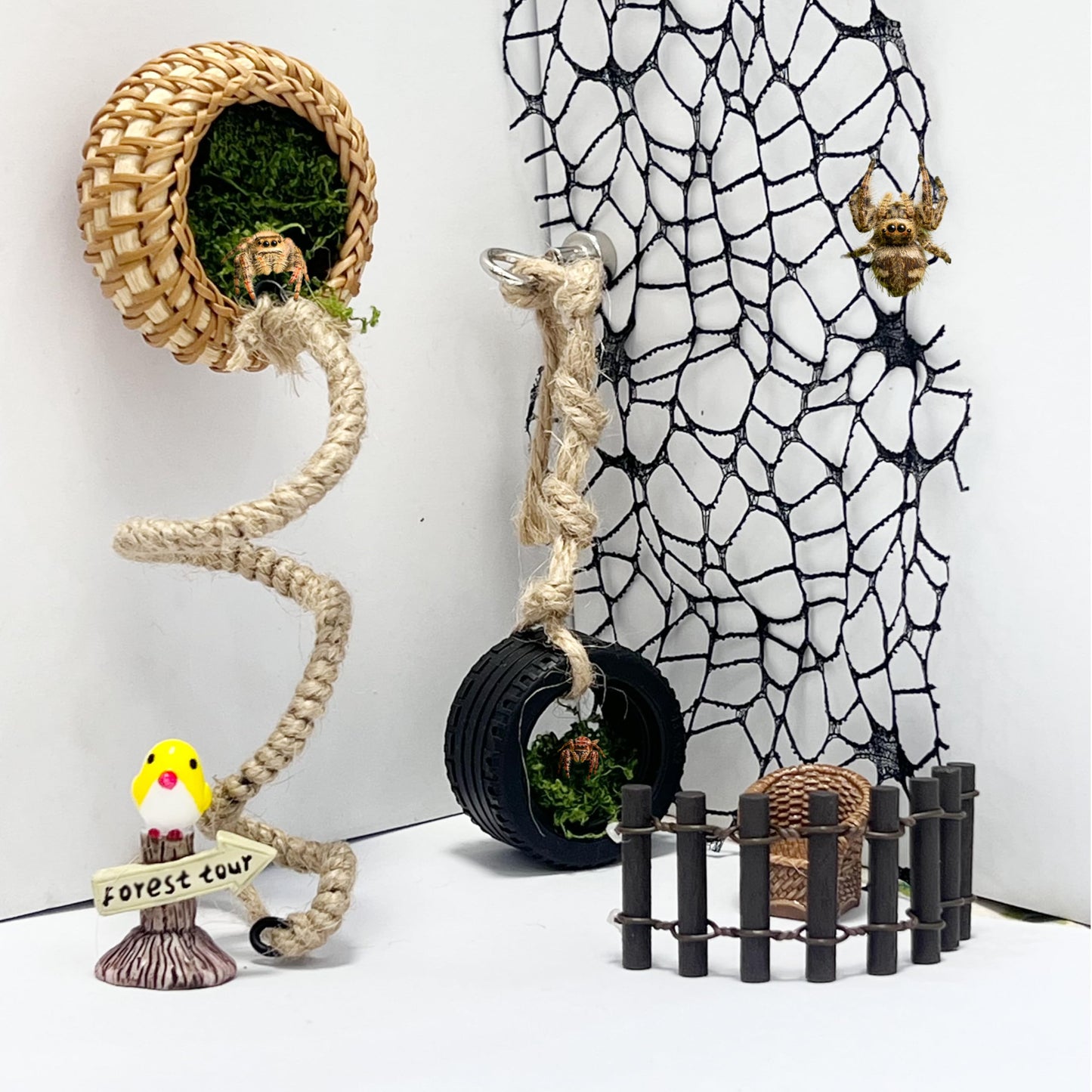 7 Pcs Jumping Spider Enclosure Accessories and Decor - Jumping Spider Rope Bridge Swings Resting, and Enclosure Styling | Spider Habitat Decor Kit