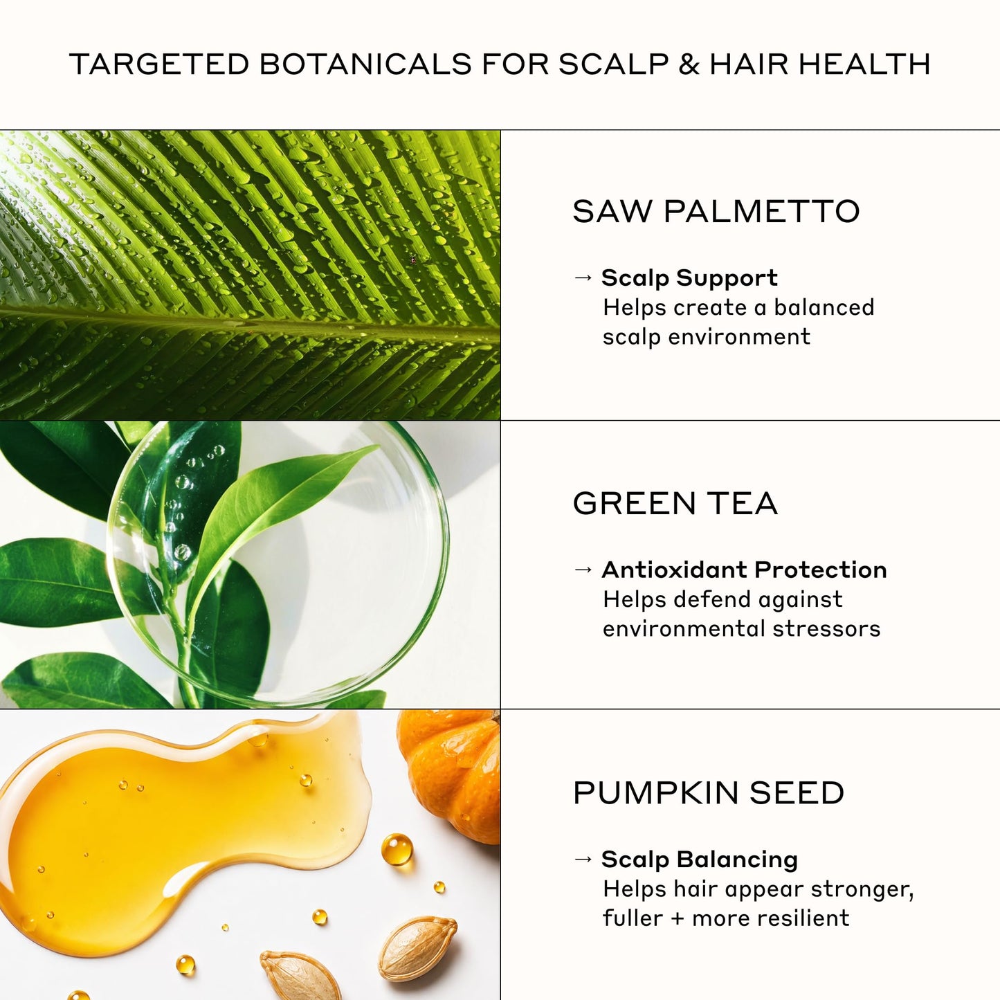 Zenagen Densifying Hair Serum | Boosts Hair Density 1.7 Fl Oz