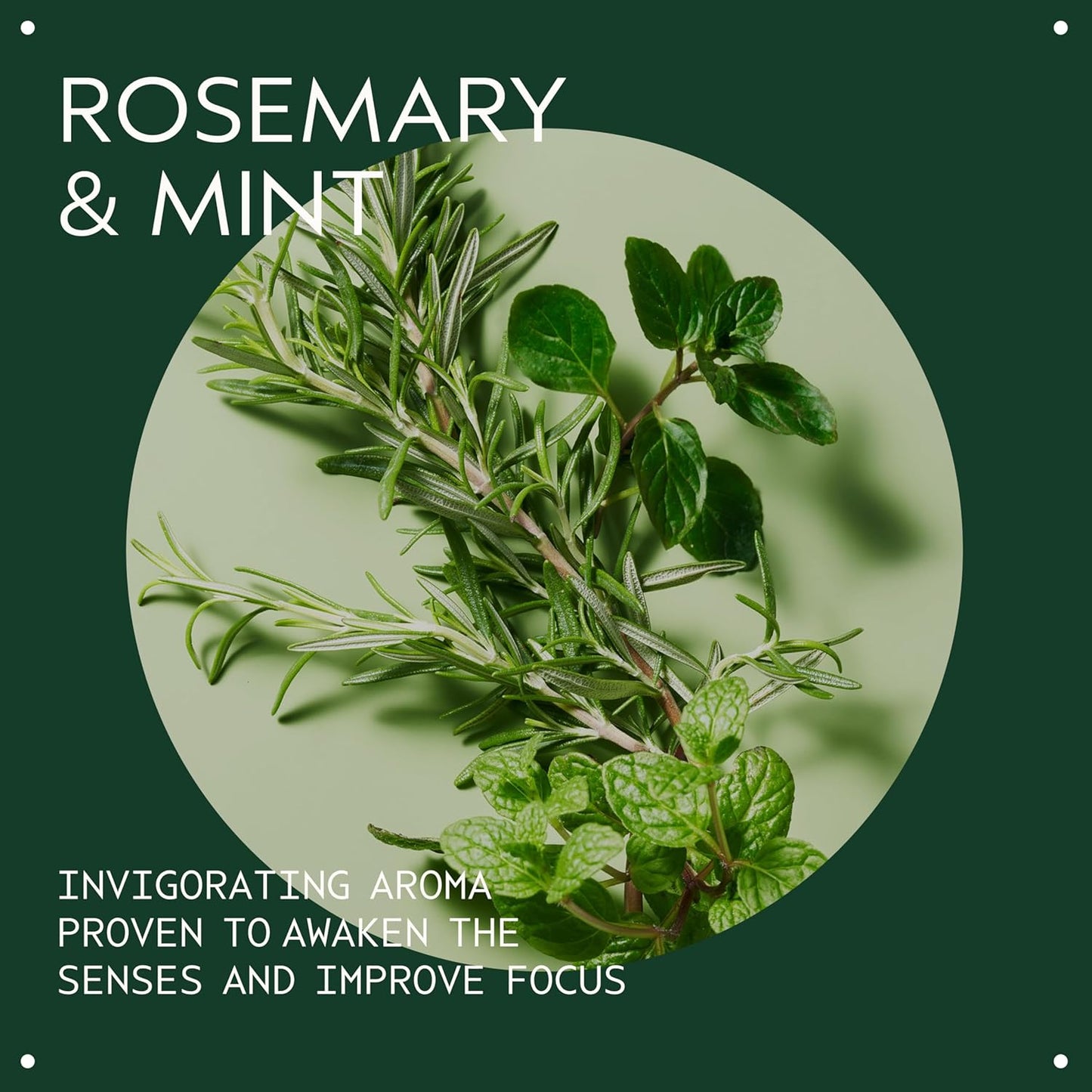 Aveda Rosemary Mint Purifying Shampoo - Clarifying Formula for Normal to Oily Hair | Adds Shine & Removes Buildup