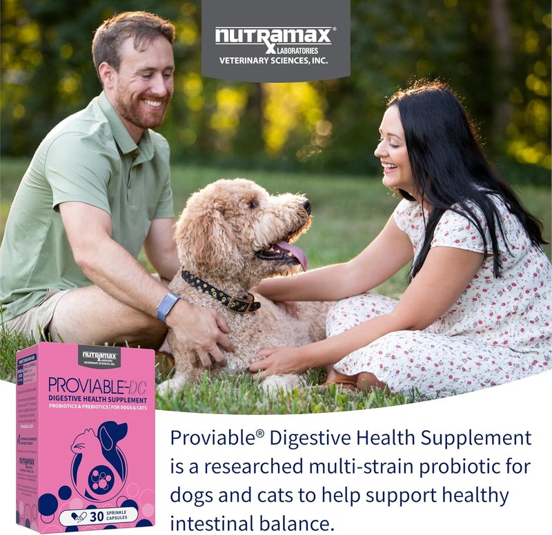 Nutramax Proviable Probiotics for Dogs & Cats - Daily Digestive Health Supplement with Prebiotics | 30 Capsules