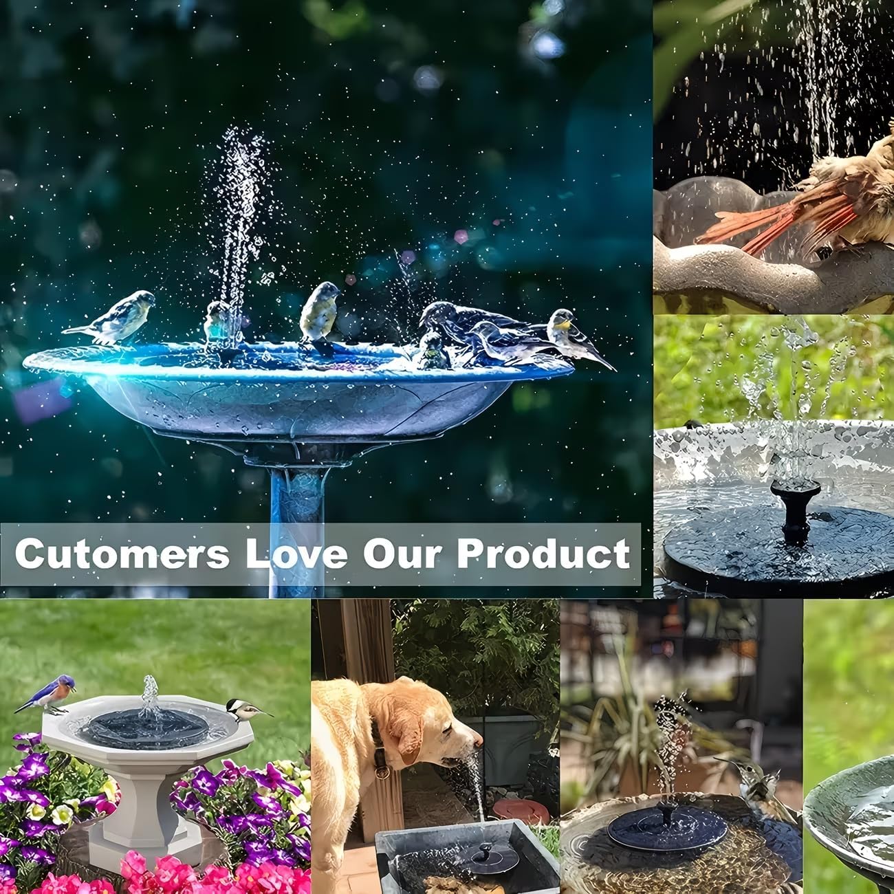 Solar Fountain for Bird Bath - IPX8 Waterproof Solar Water Pump | Ideal for Garden, Pond & Outdoor Decor