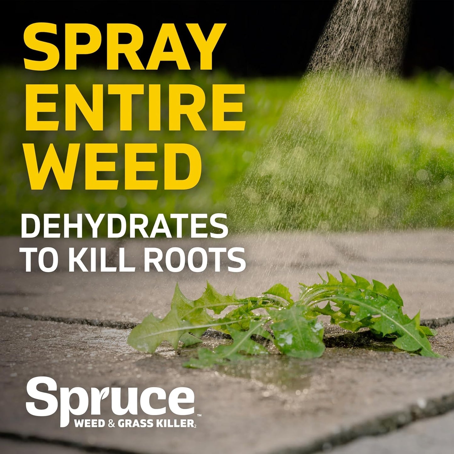 Weed Killer Spray Power Wand Kit - Effective Spot Treatment for Lawns & Gardens | 64 oz with 2 AA Batteries