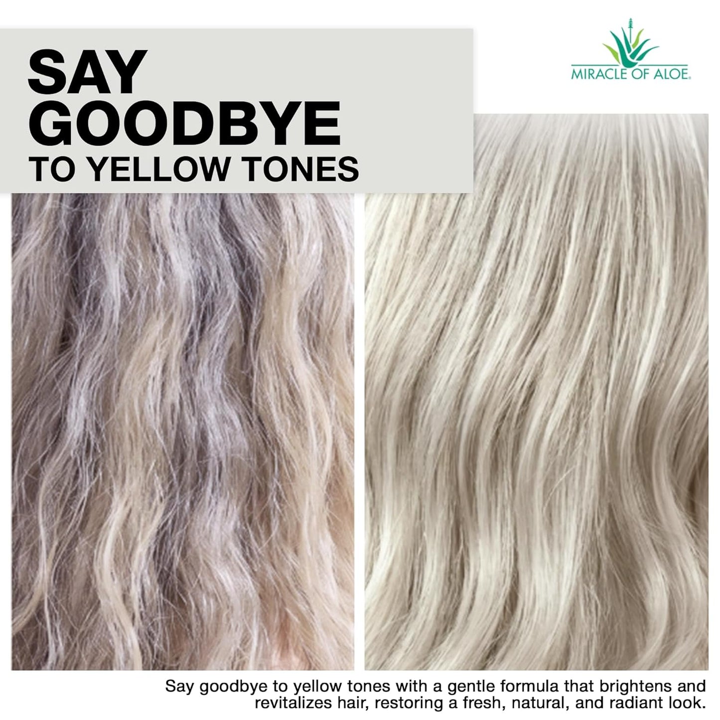 Silver Shampoo for Gray Hair - 2-in-1 Purple Restorative Wash with Panthenol & Aloe | Adds Luster & Bounce