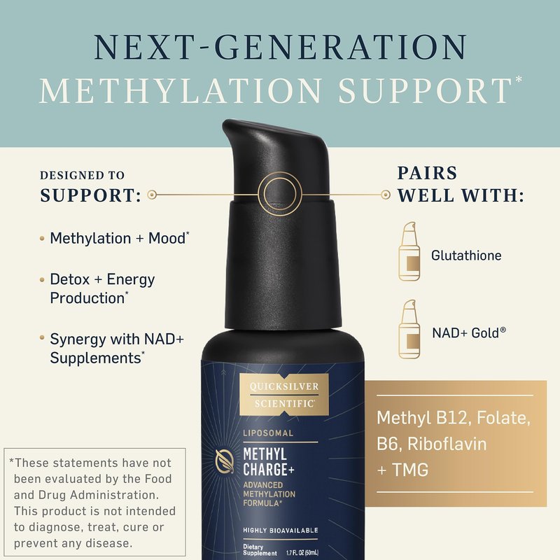 Quicksilver Scientific Methyl Charge - Methylation, Liver, Detox + Energy Supplement - Folate, Vitamin B12, Riboflavin, Vitamin B6 + TMG Supplement with Superior Absorption - Vegan B Vitamins (50ml)
