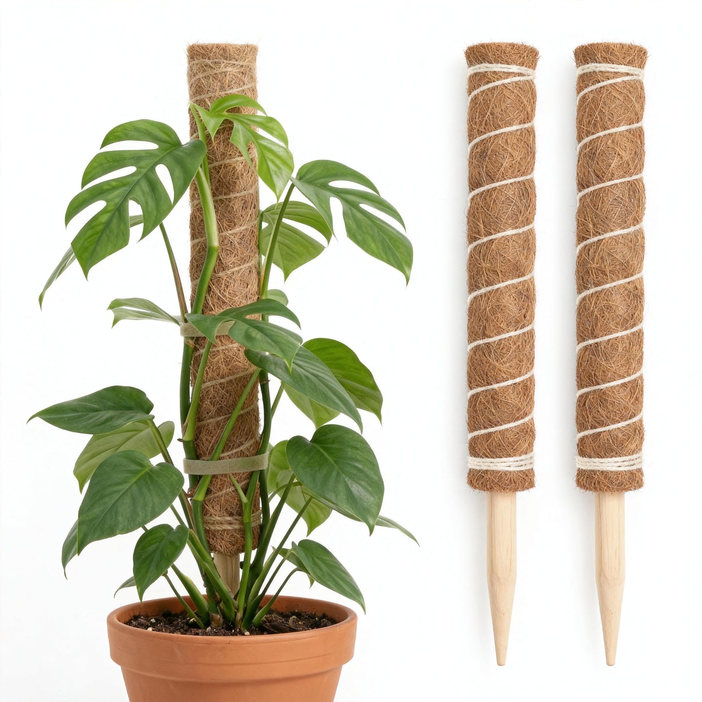 Woven Grass Columns for Climbing Plants - 2 Sets. Stackable Plant Support Columns, Made of Coconut Fiber, Suitable for Large-leaved Wisteria, Spider Plant and Indoor Potted Plants.