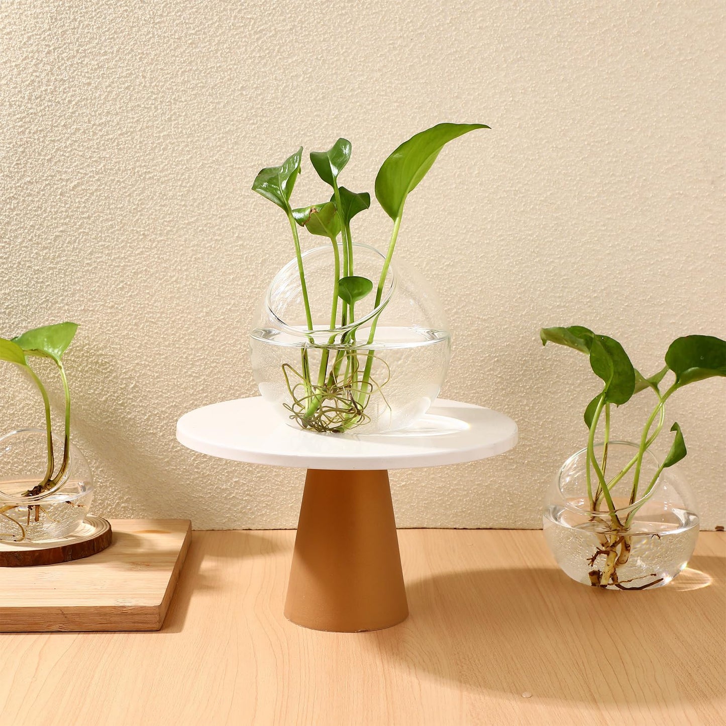 Healeved 3PCS Glass Terrariums for Plants Glass Fish Bowls Plant Terrarium Air Plant Planter Desktop Bubble Bowls Clear Vases Air Plants Holders Succulent Terrarium