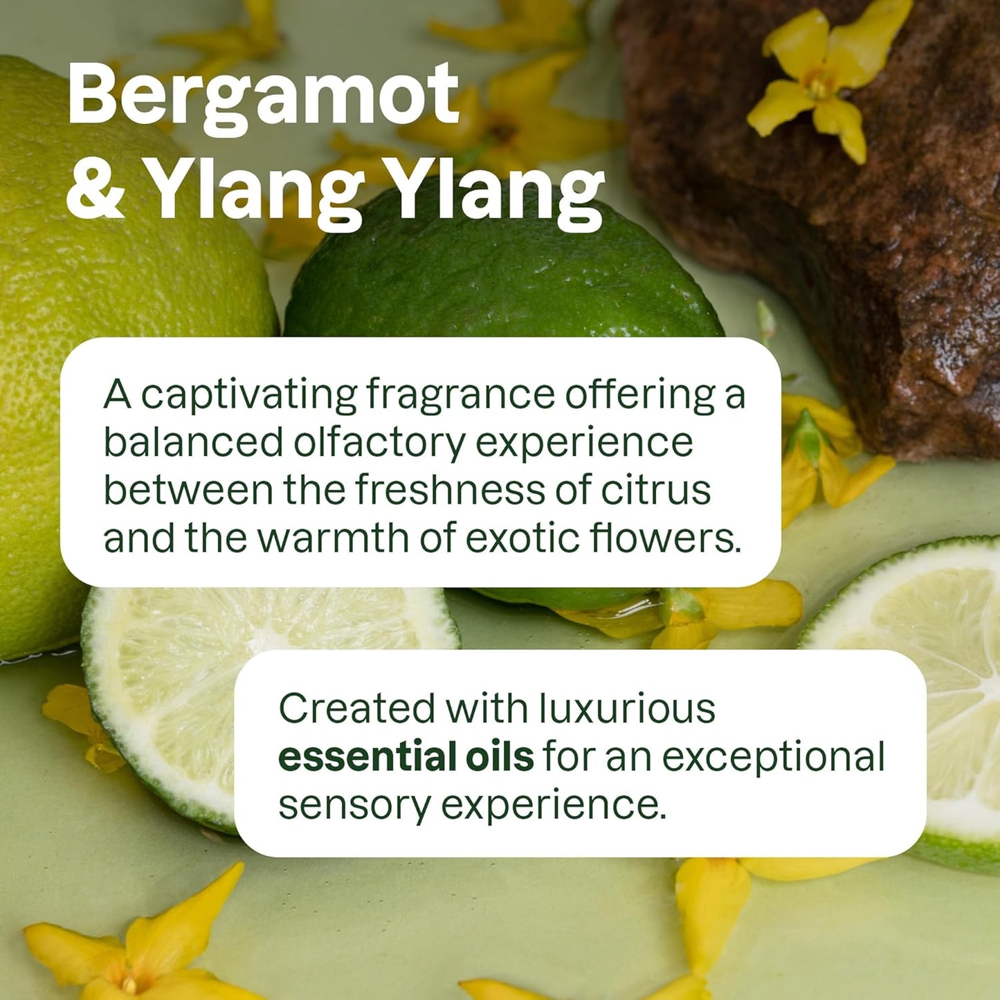 ATTITUDE Liquid Hand Soap - EWG Verified Vegan Formula | Bergamot & Ylang Ylang, 67.6 Fl Oz