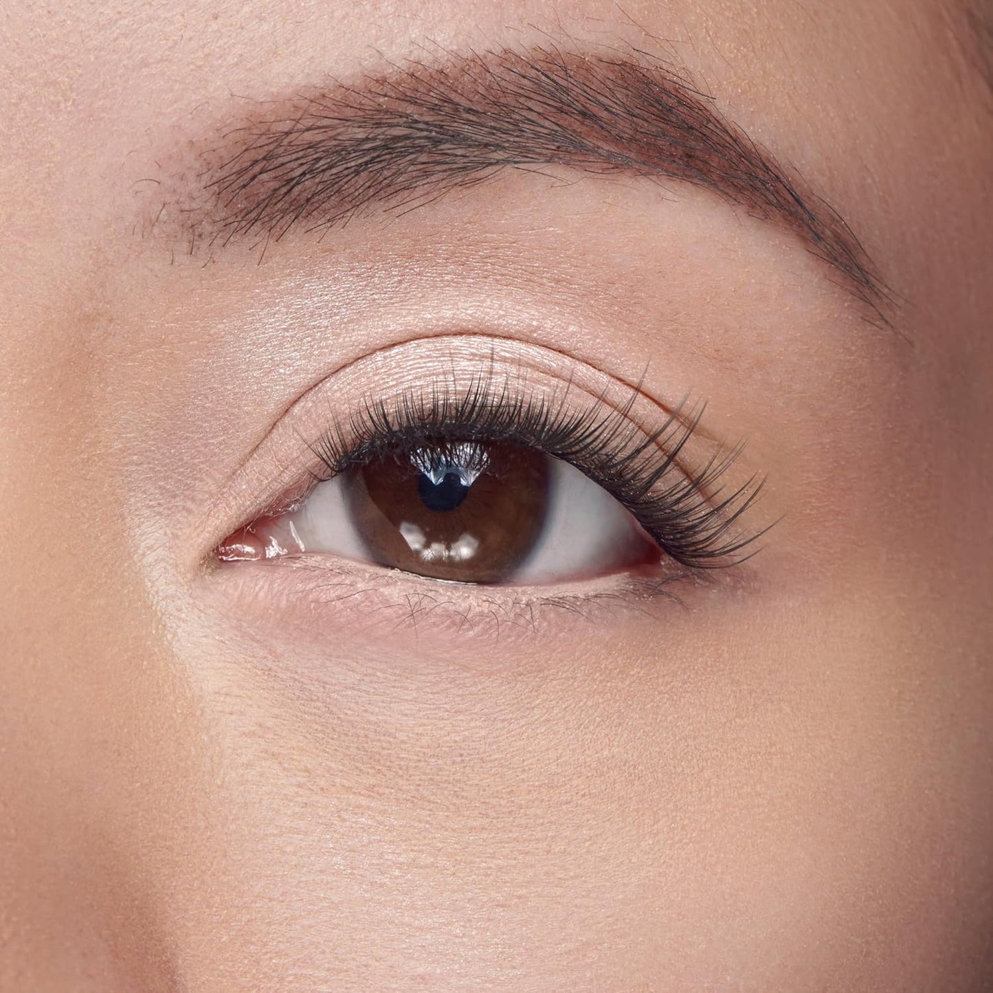 Falscara False Eyelashes - Classic Natural Lash Clusters, 8mm-16mm | 50 Reusable Wisps, Contact Lens Friendly