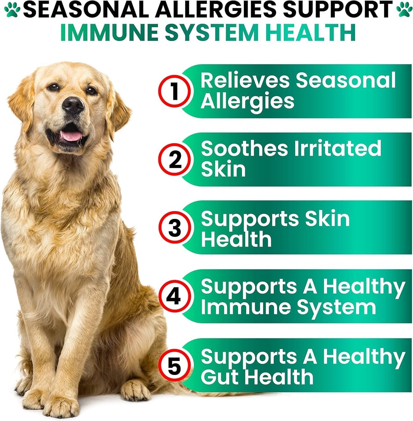 Dog Allergy Chews - Natural Allergy Relief Treats with Probiotics & Colostrum | 170 Count for Itchy Skin & Immune Support