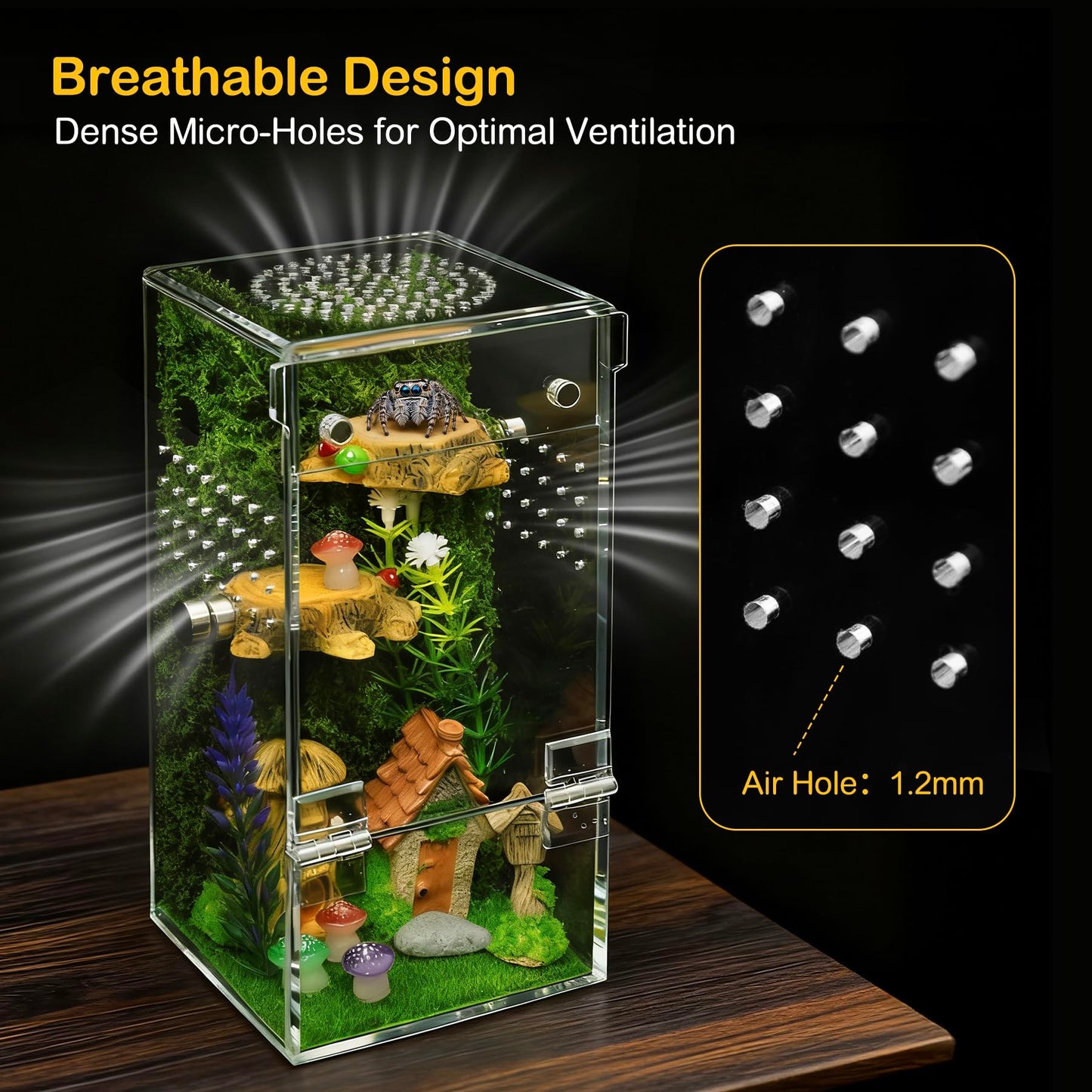 Clioran Jumping Spider Enclosure Starter Kit,Escape Proof Forest Terrarium