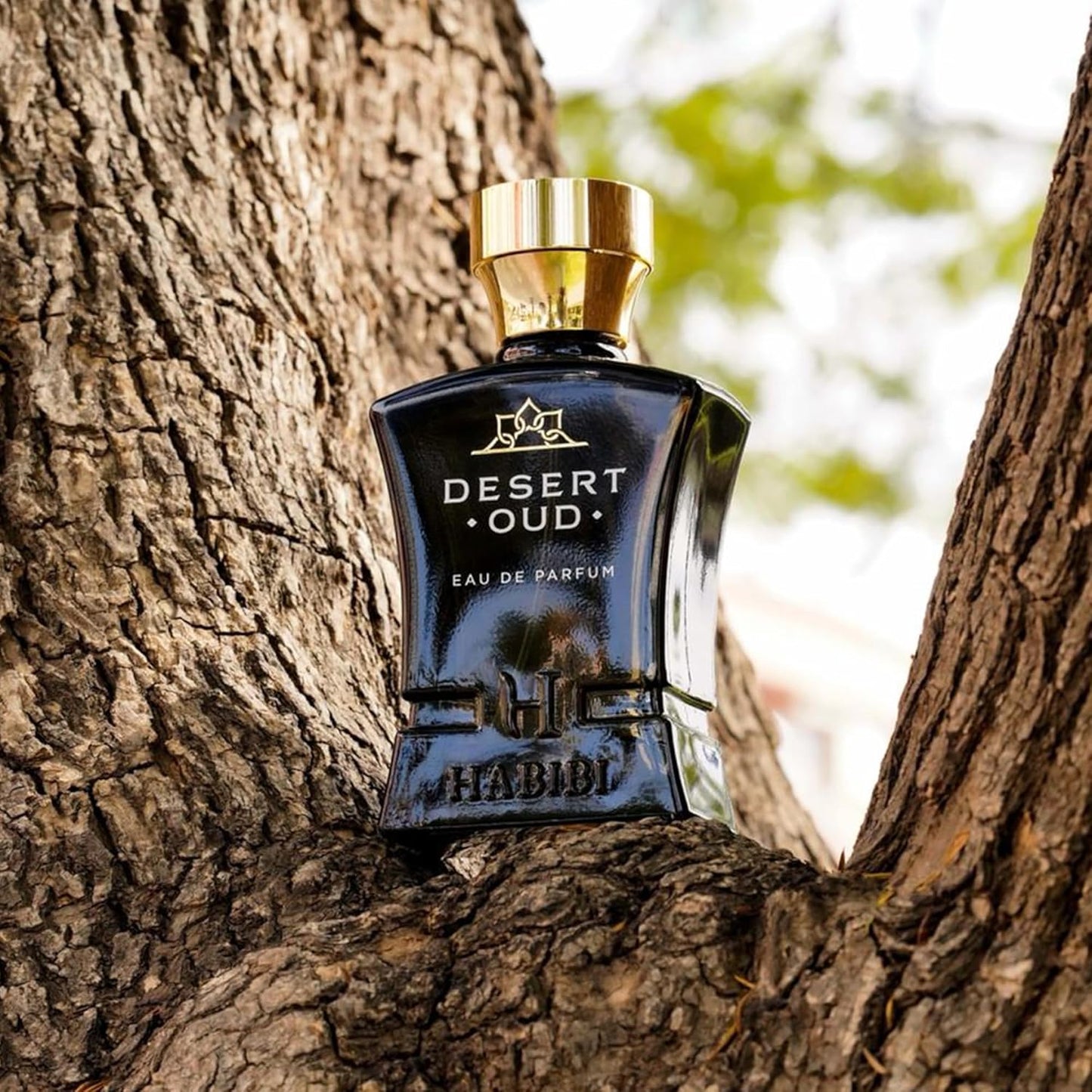 Desert Oud Perfume for Men - Long-Lasting 2.5 oz Arabian Cologne | Bold Floral Woody Luxury Fragrance Gift